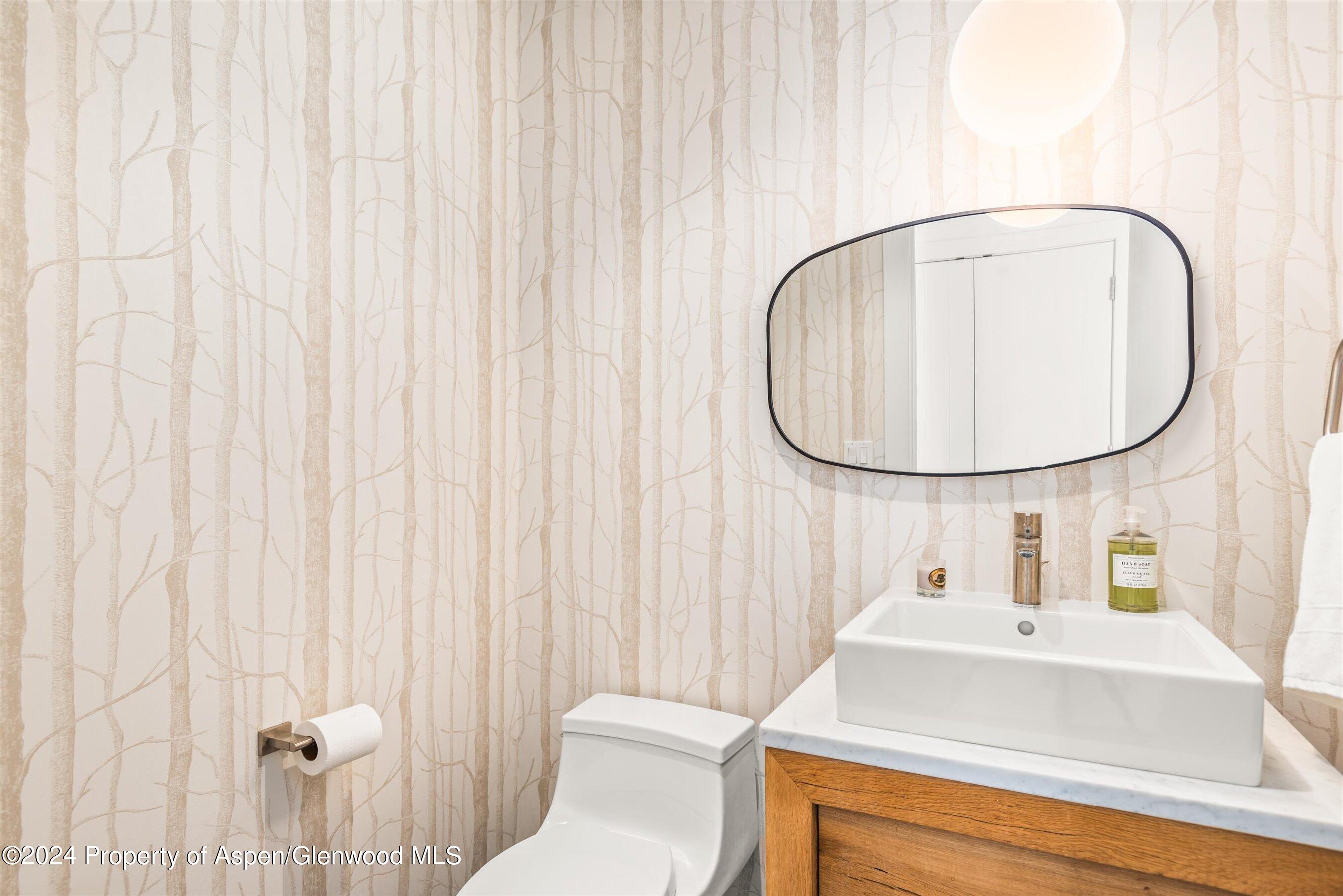 449 Mountain Laurel Drive Aspen CO 81611