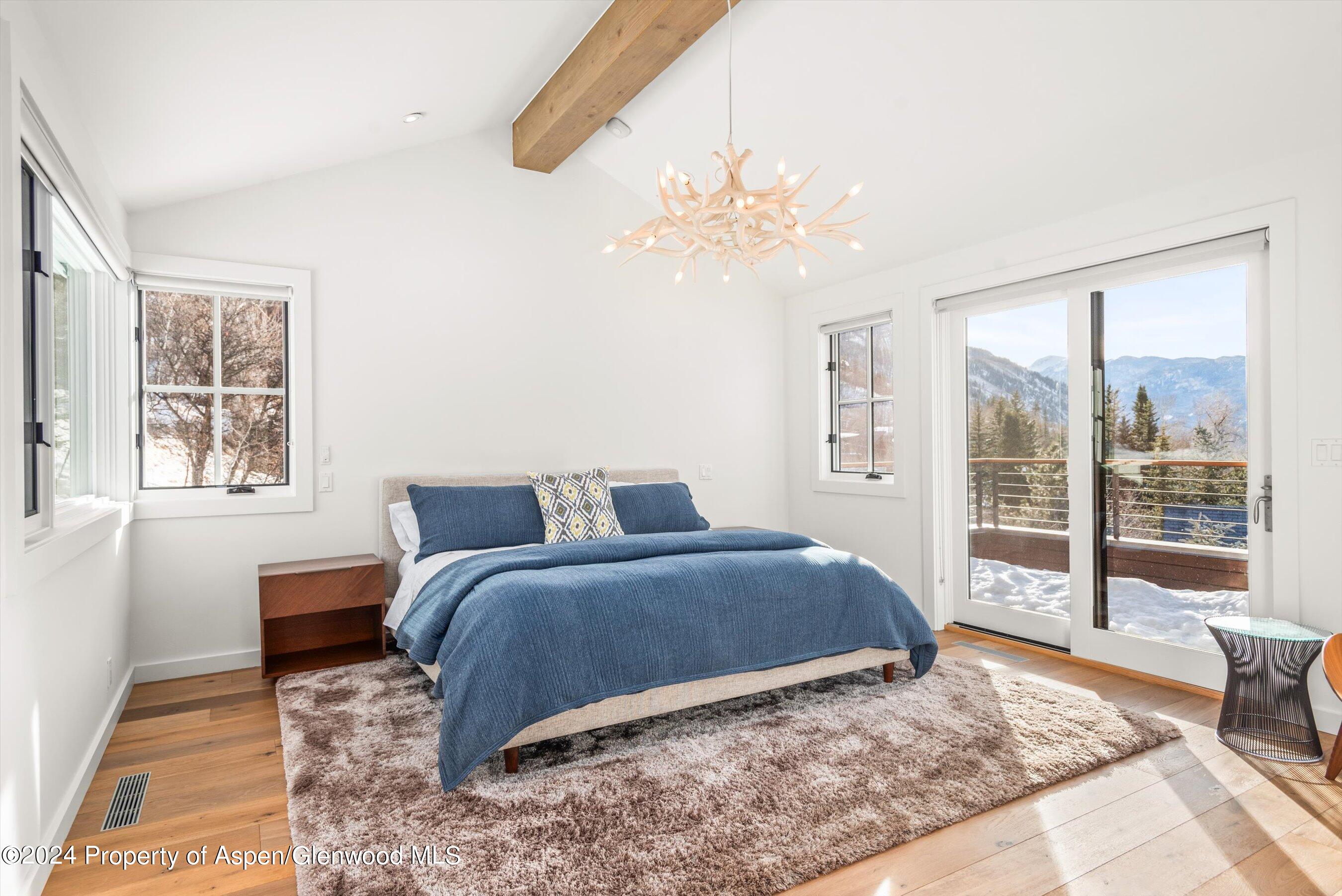 449 Mountain Laurel Drive Aspen CO 81611