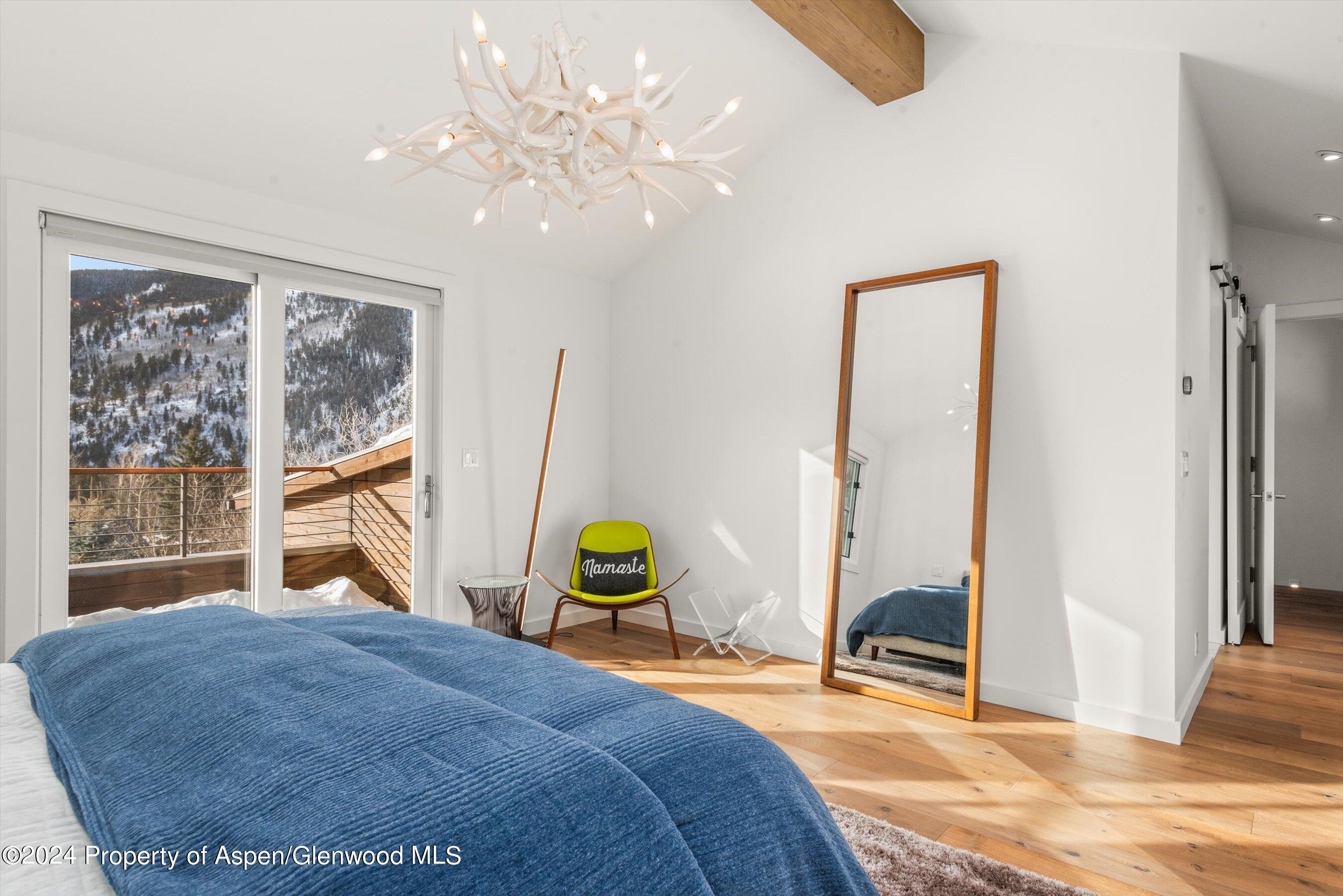 449 Mountain Laurel Drive Aspen CO 81611