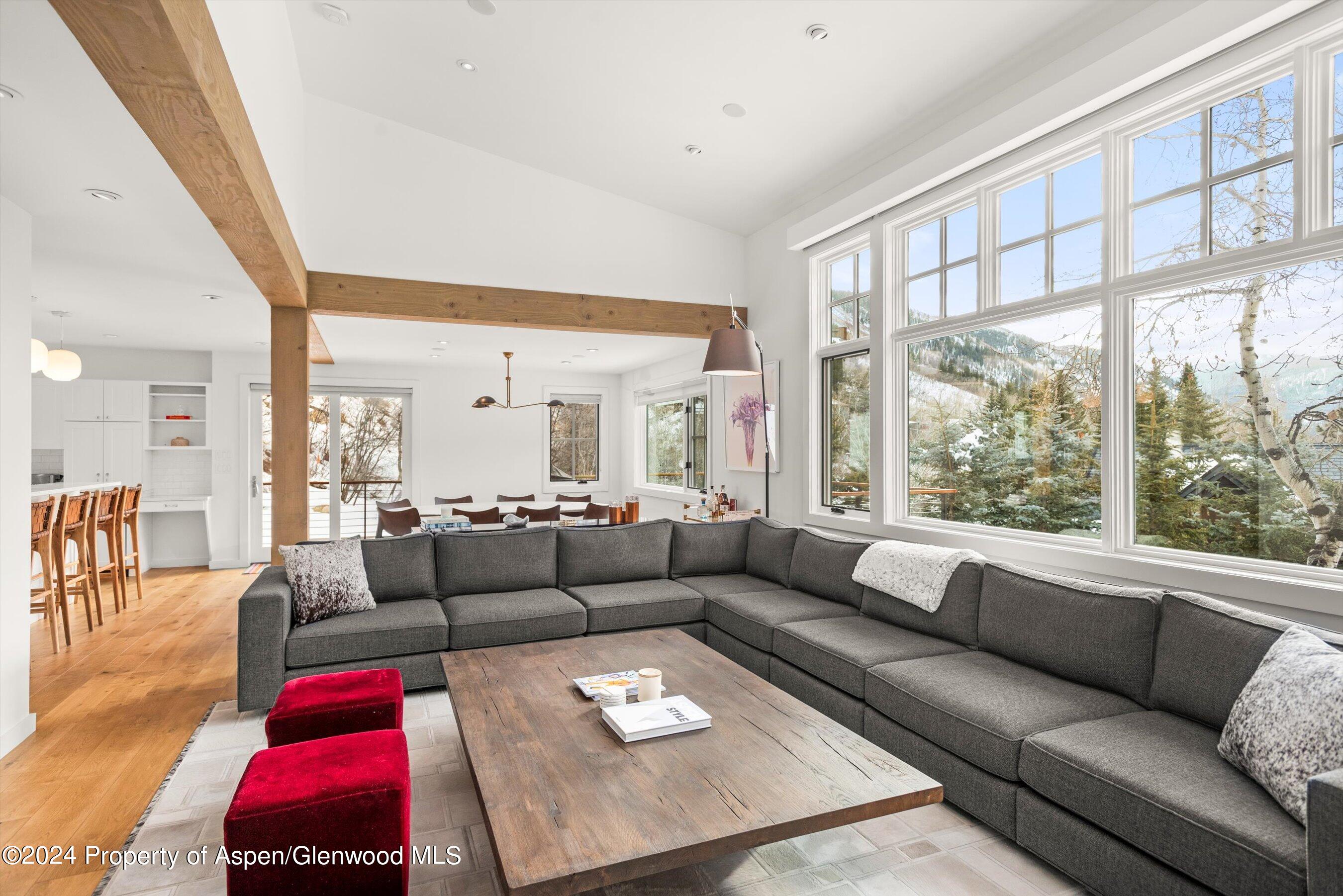 449 Mountain Laurel Drive Aspen CO 81611