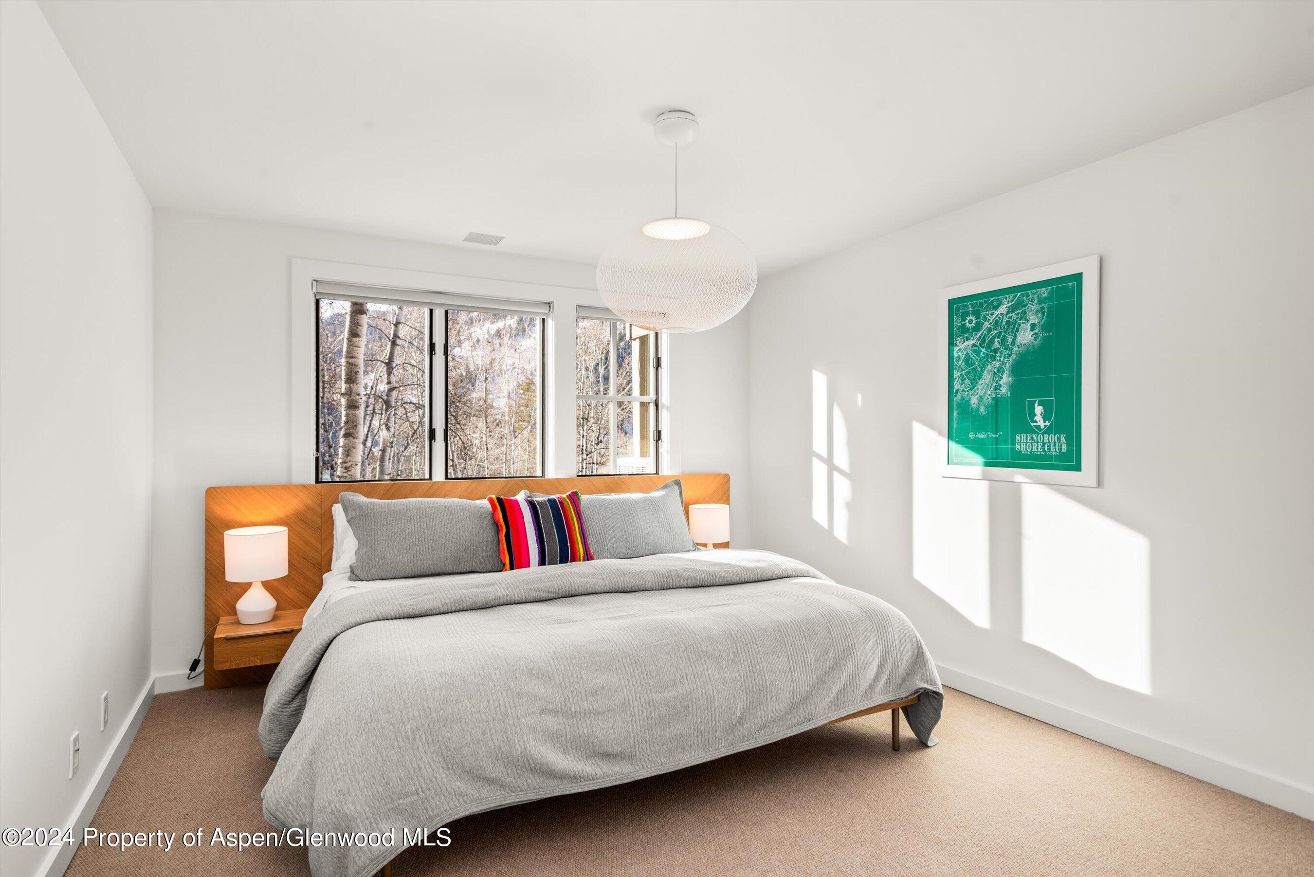 449 Mountain Laurel Drive Aspen CO 81611