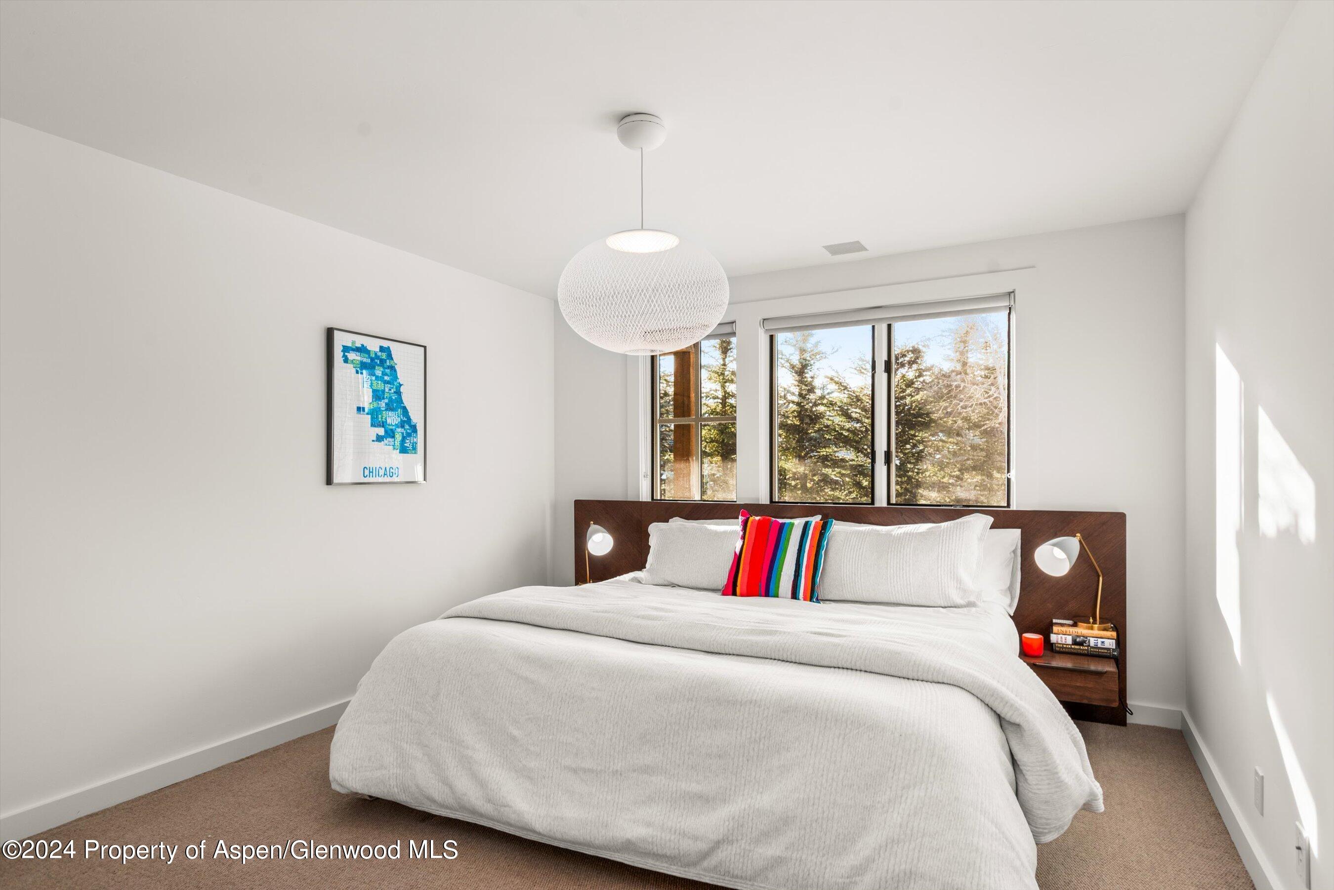 449 Mountain Laurel Drive Aspen CO 81611