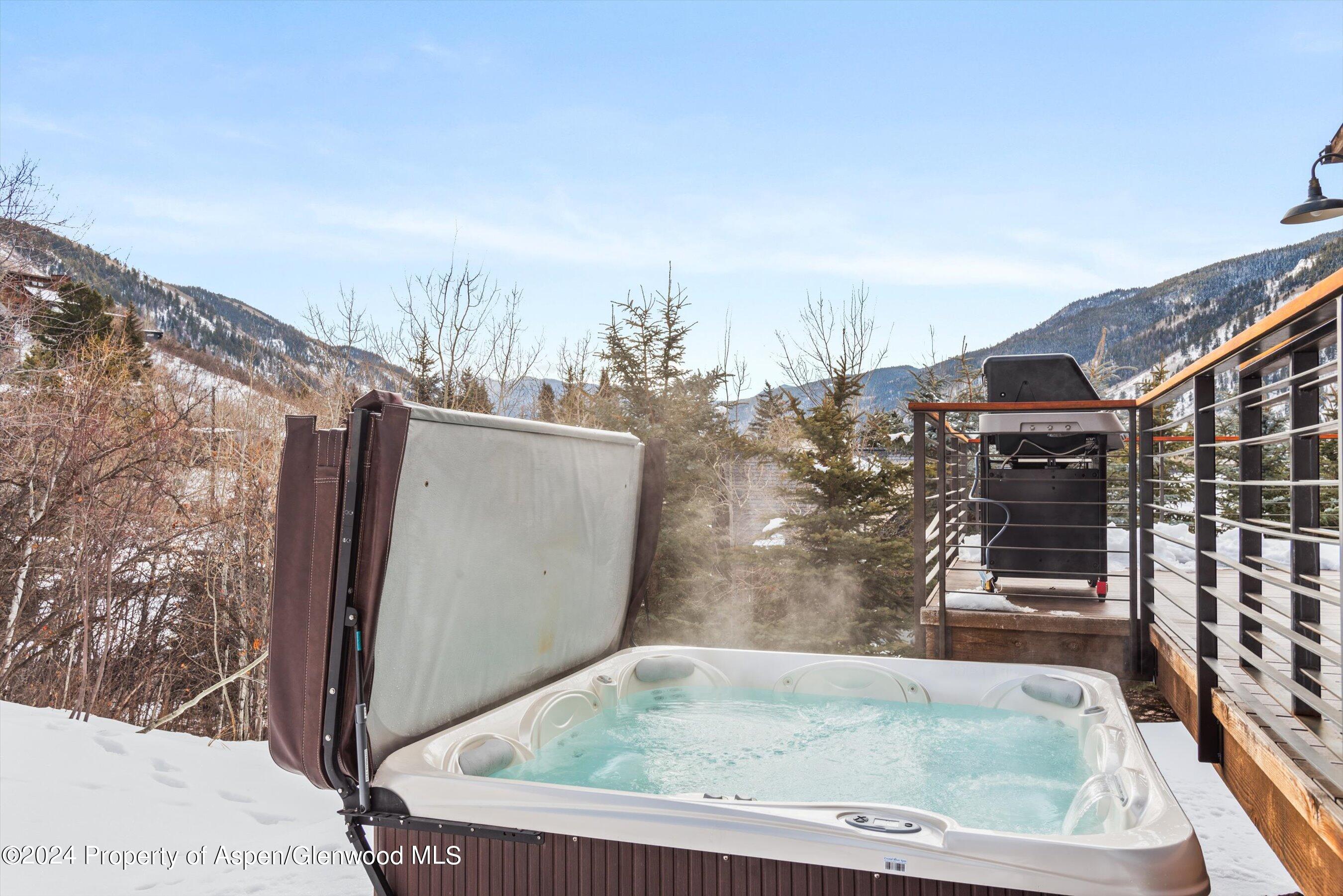 449 Mountain Laurel Drive Aspen CO 81611