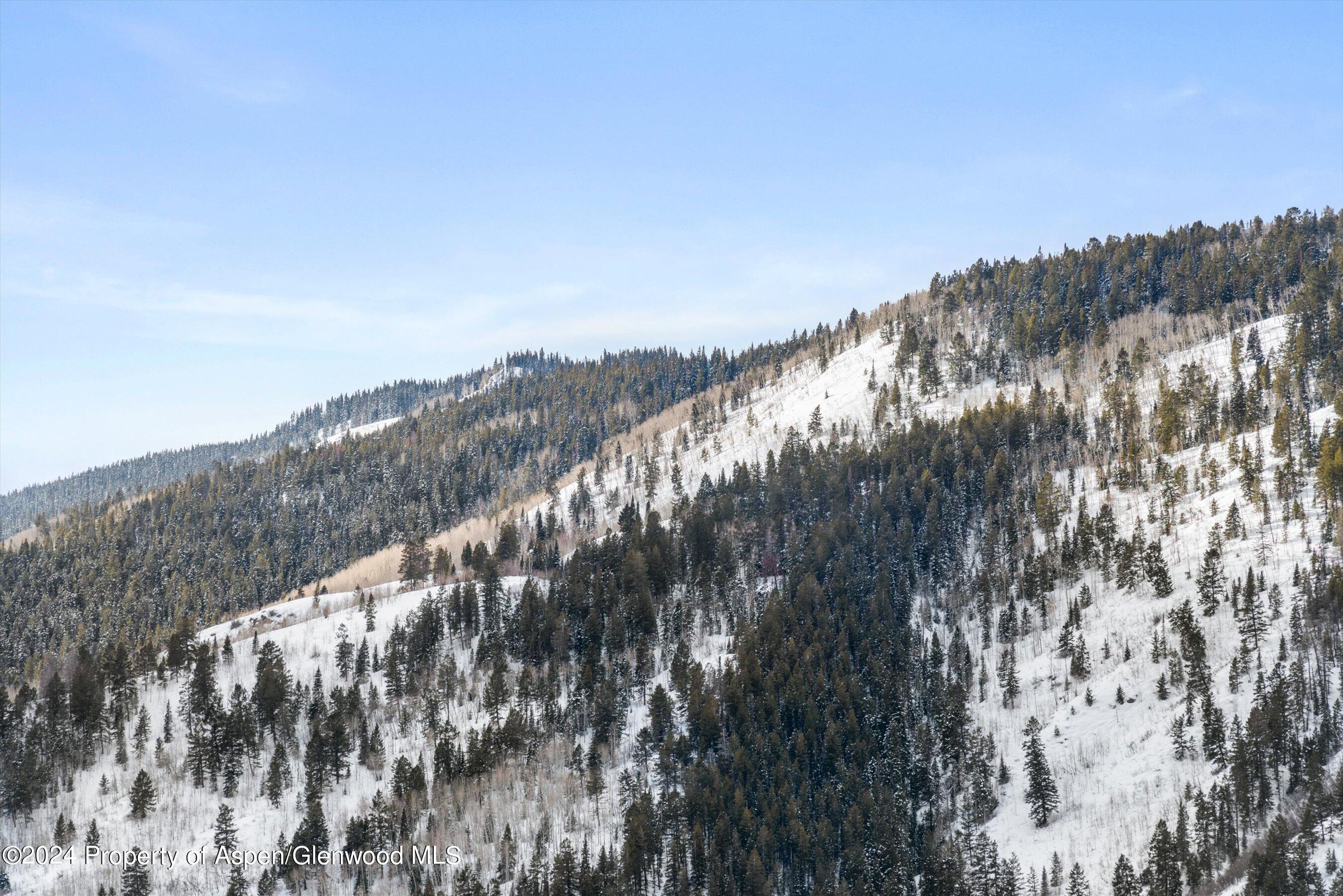 449 Mountain Laurel Drive Aspen CO 81611