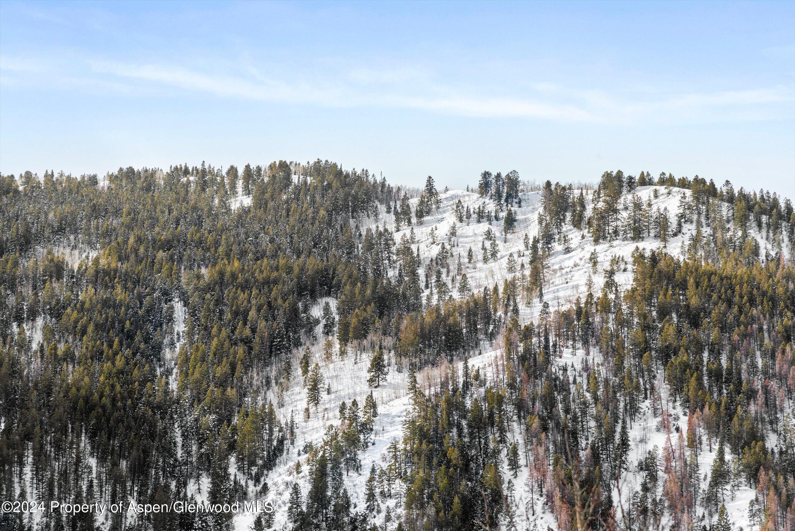 449 Mountain Laurel Drive Aspen CO 81611