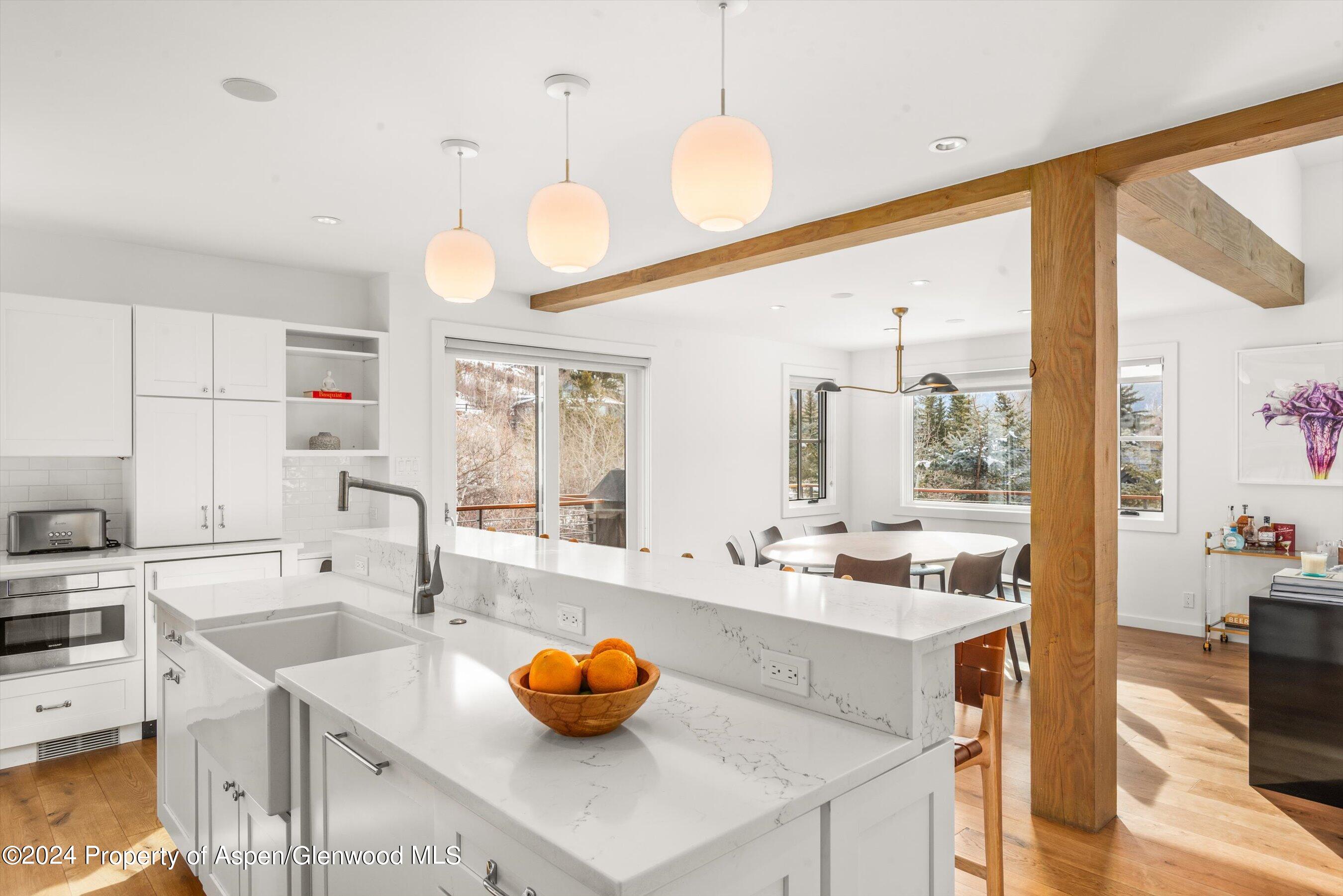 449 Mountain Laurel Drive Aspen CO 81611