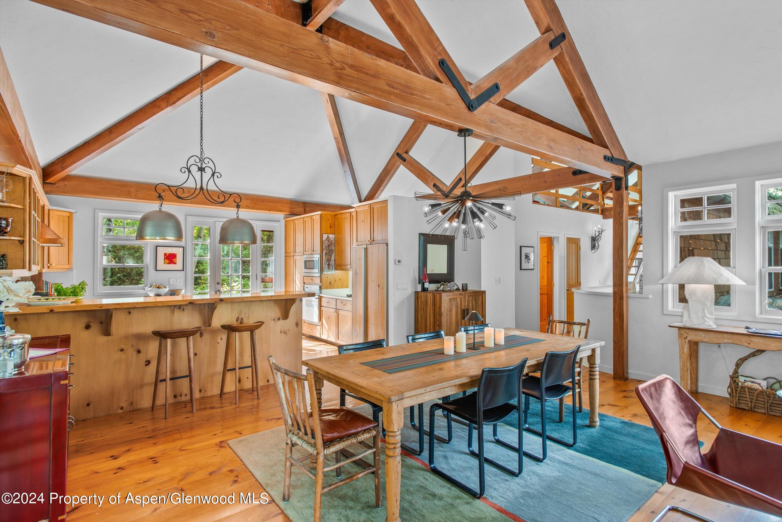 66 Alpine Court Aspen CO 81611