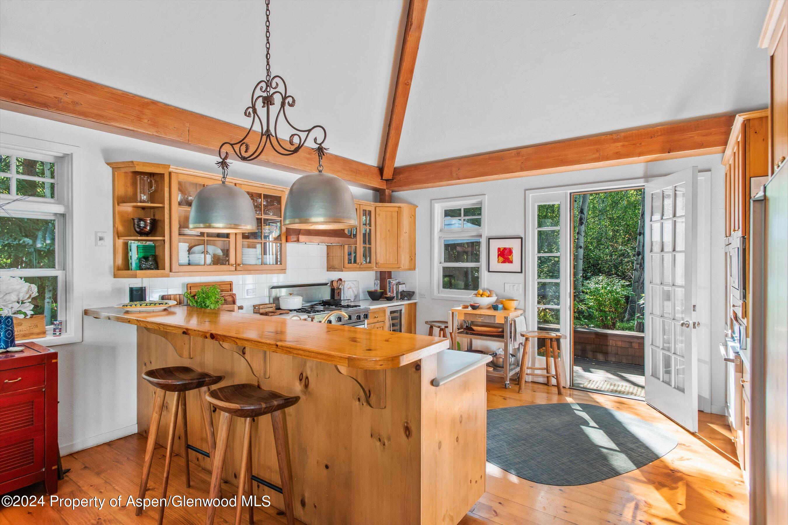 66 Alpine Court Aspen CO 81611