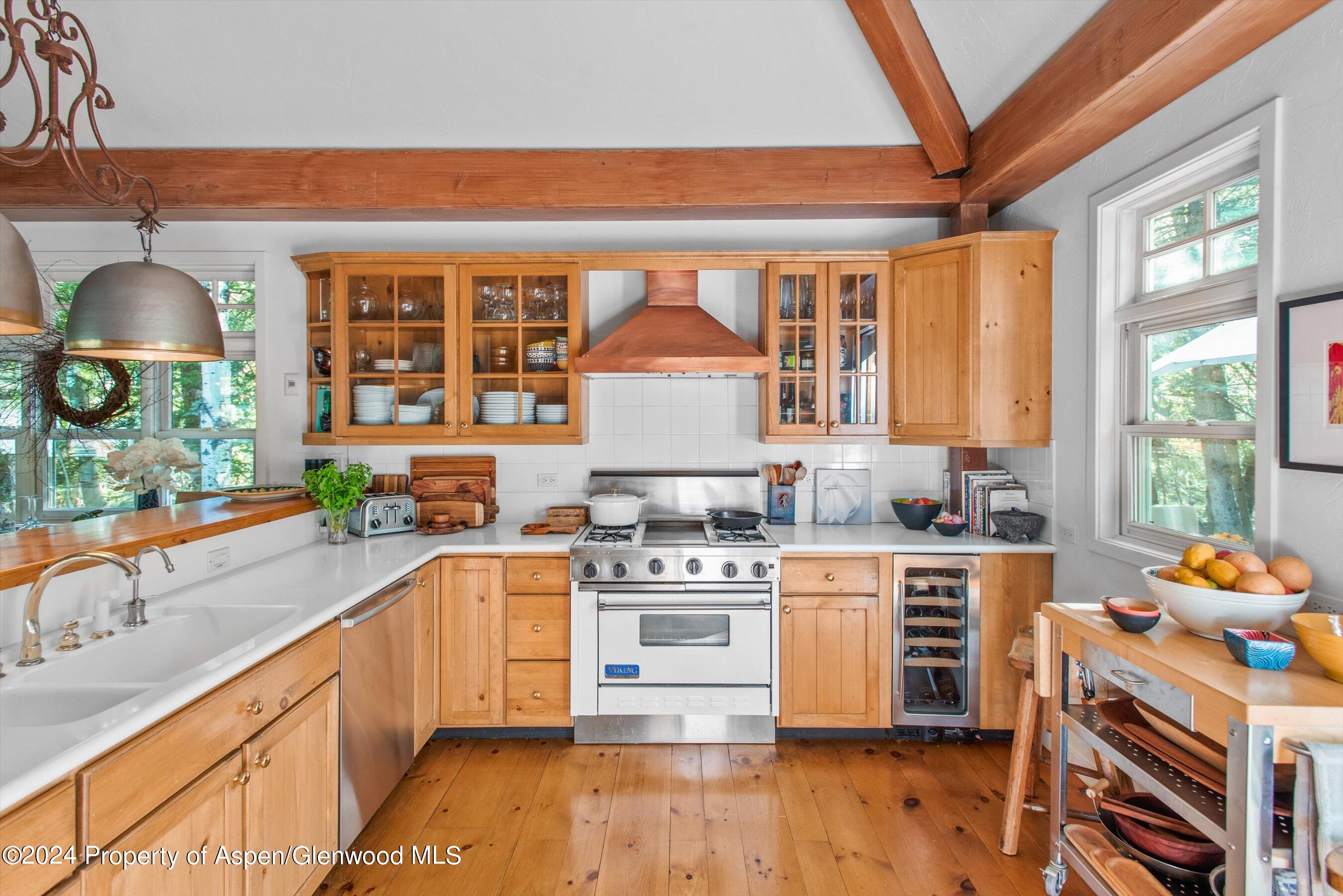 66 Alpine Court Aspen CO 81611