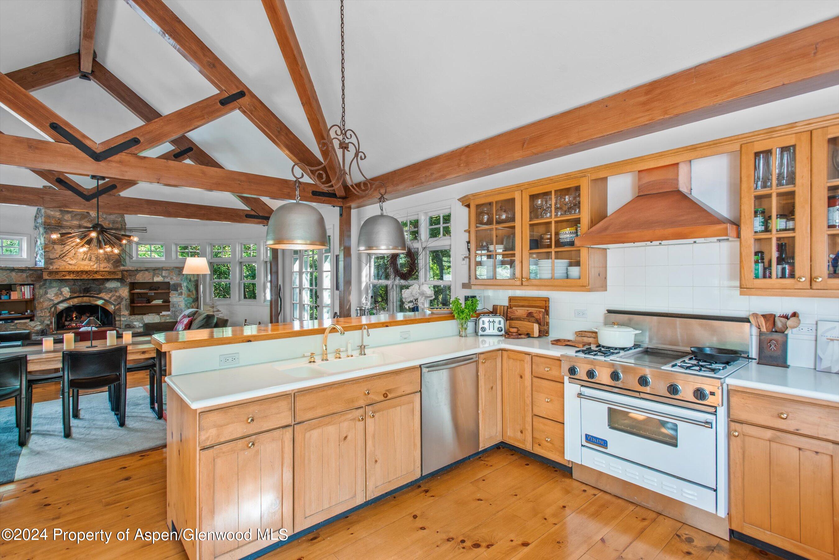 66 Alpine Court Aspen CO 81611