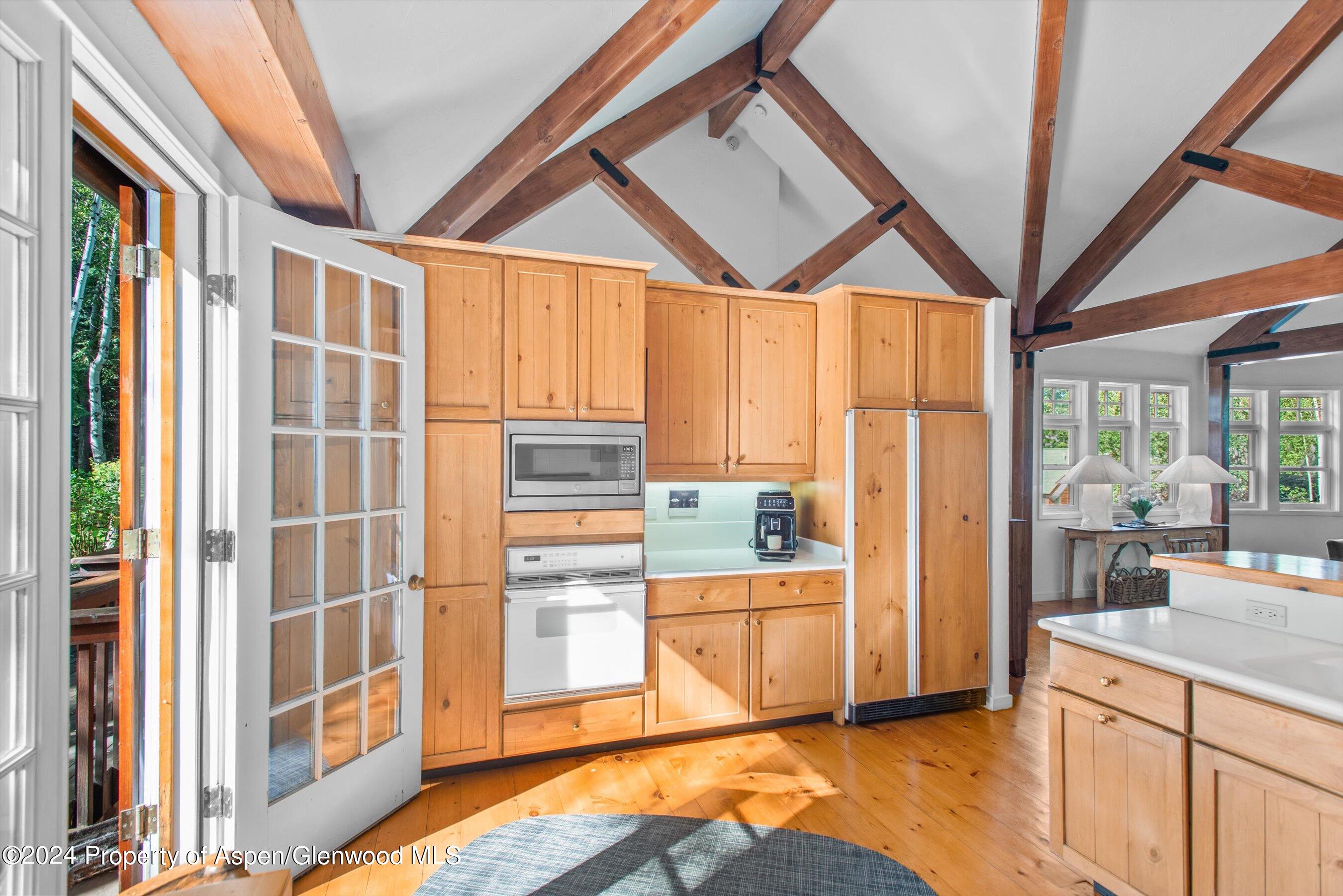 66 Alpine Court Aspen CO 81611