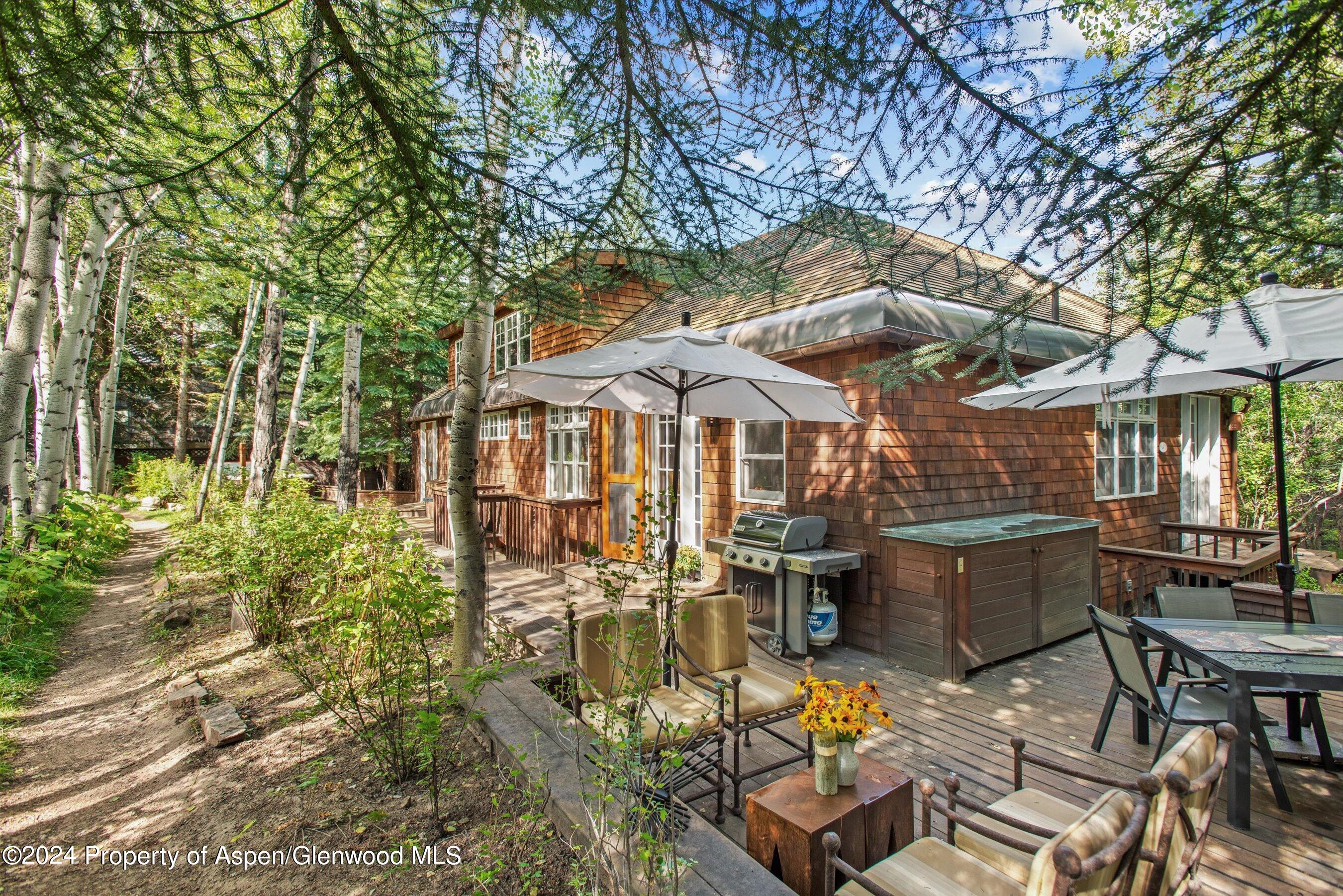 66 Alpine Court Aspen CO 81611