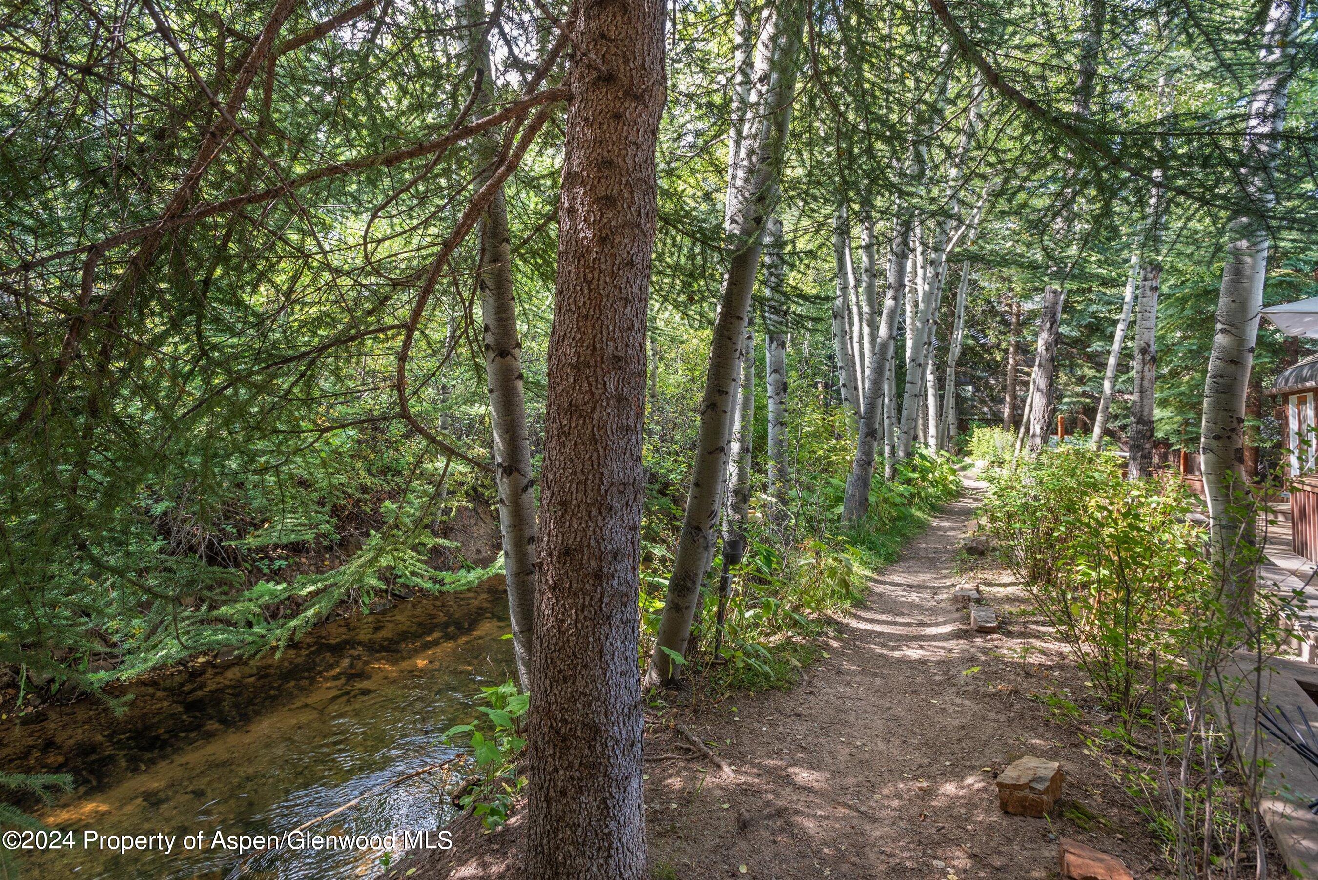 66 Alpine Court Aspen CO 81611