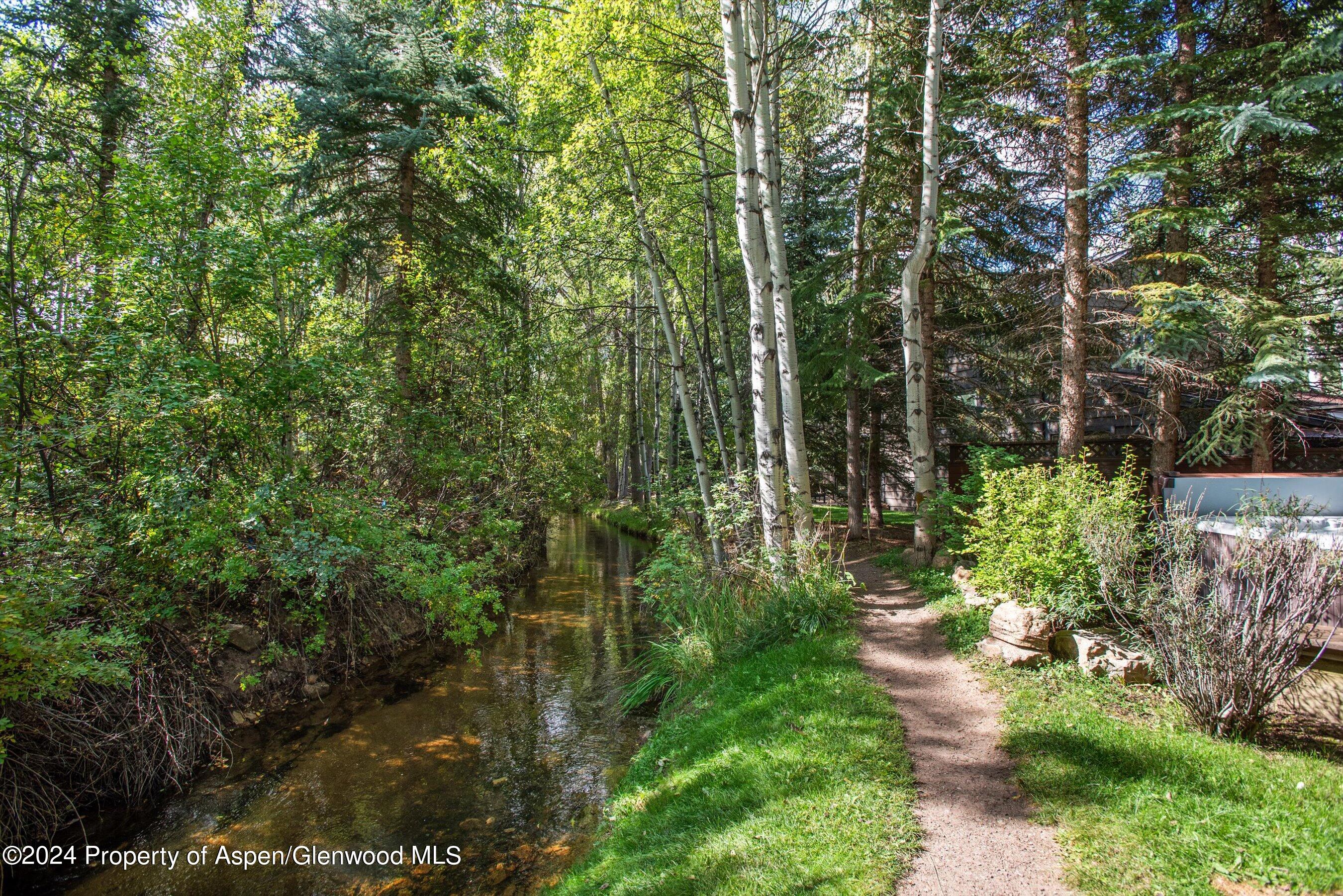 66 Alpine Court Aspen CO 81611