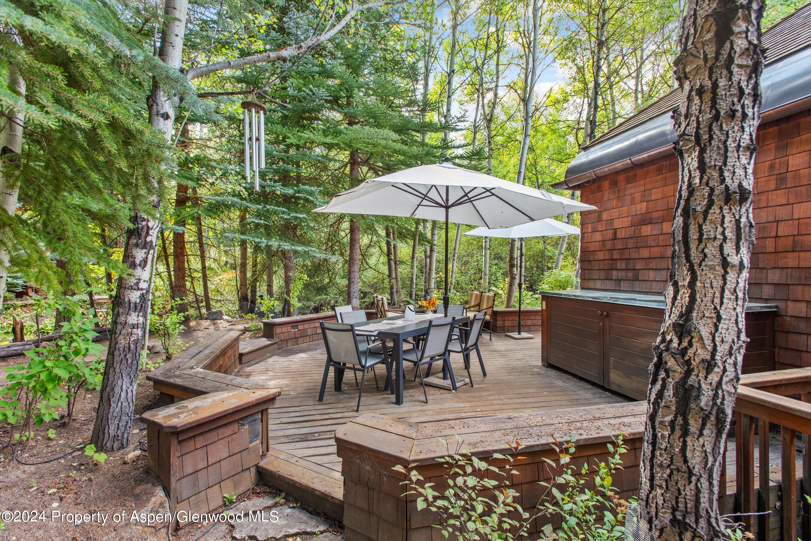 66 Alpine Court Aspen CO 81611