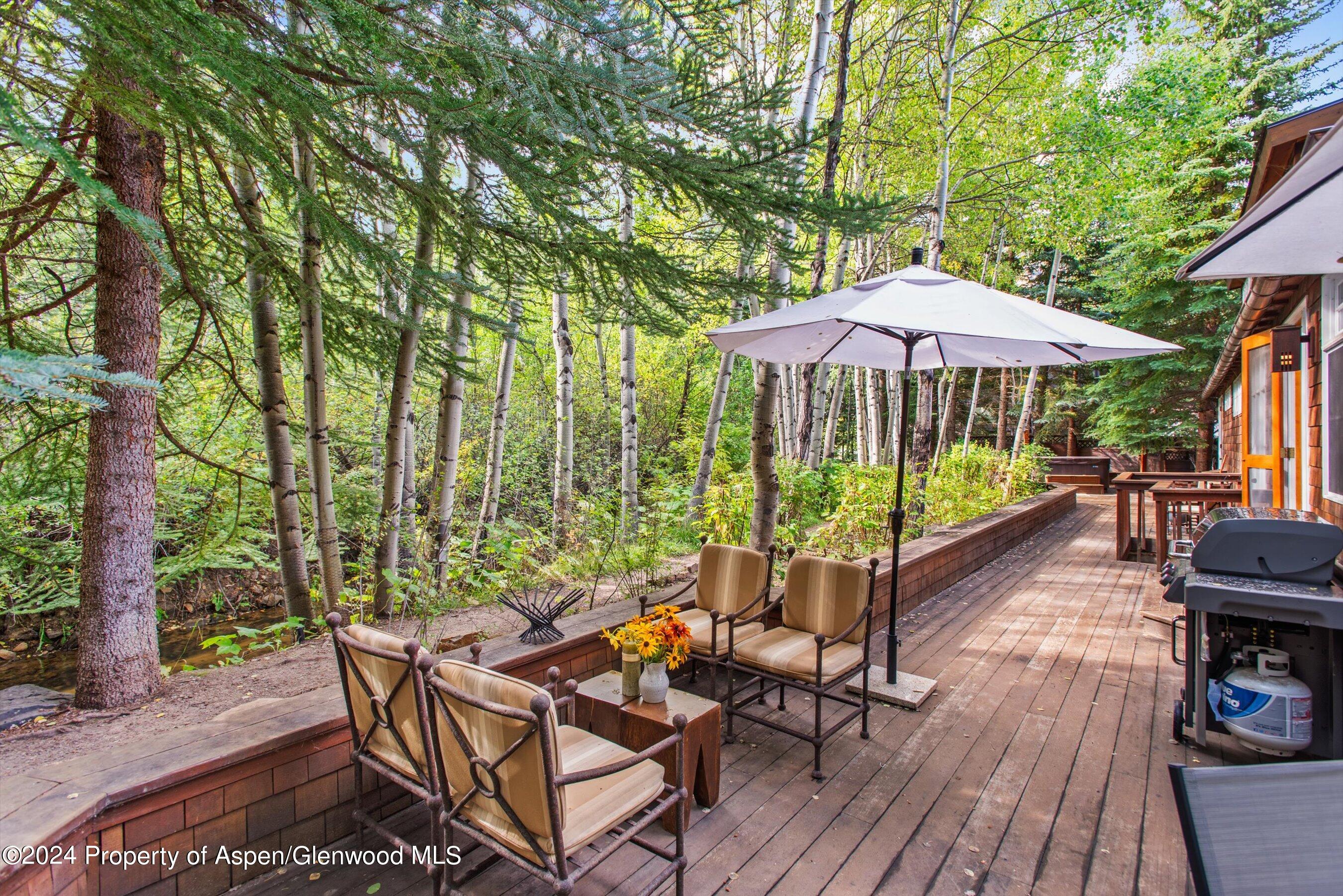 66 Alpine Court Aspen CO 81611