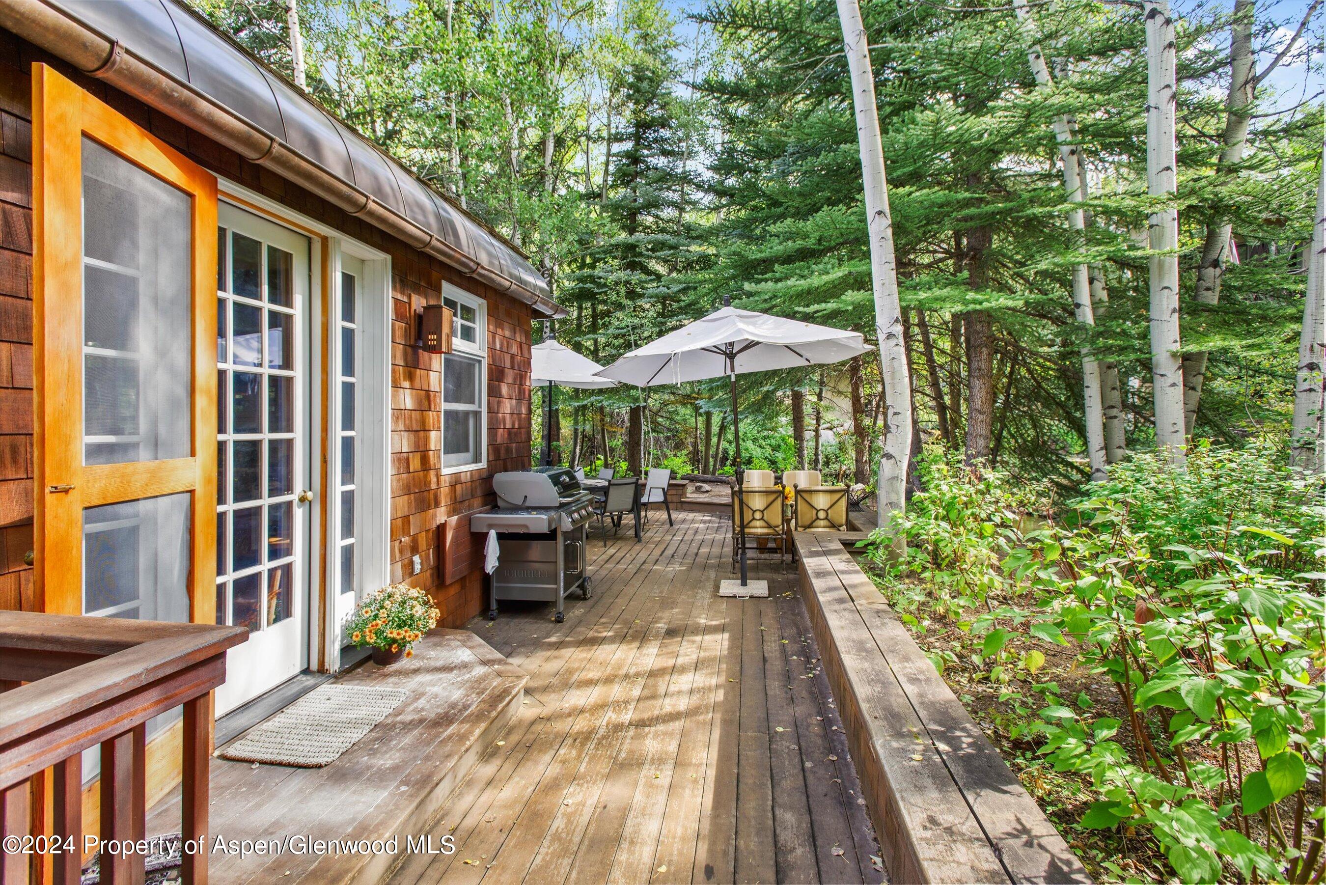 66 Alpine Court Aspen CO 81611