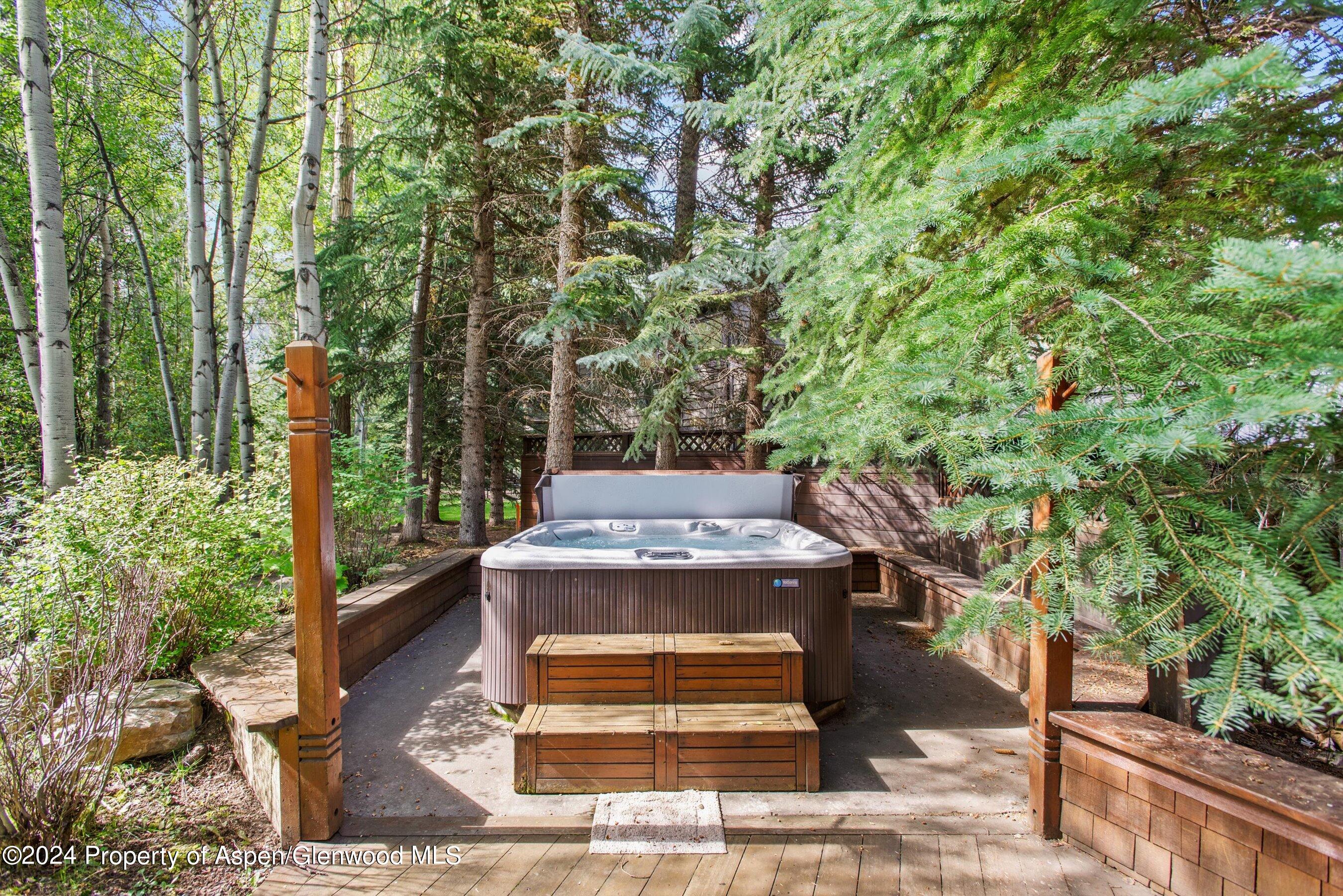 66 Alpine Court Aspen CO 81611