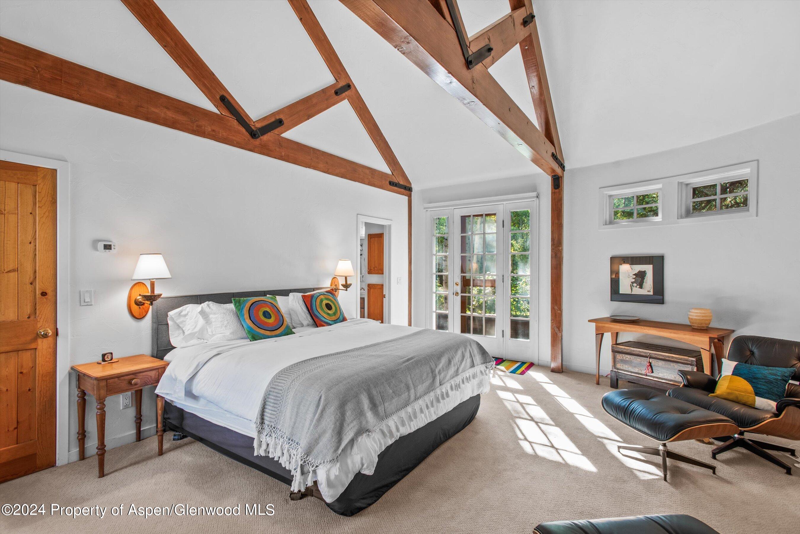 66 Alpine Court Aspen CO 81611