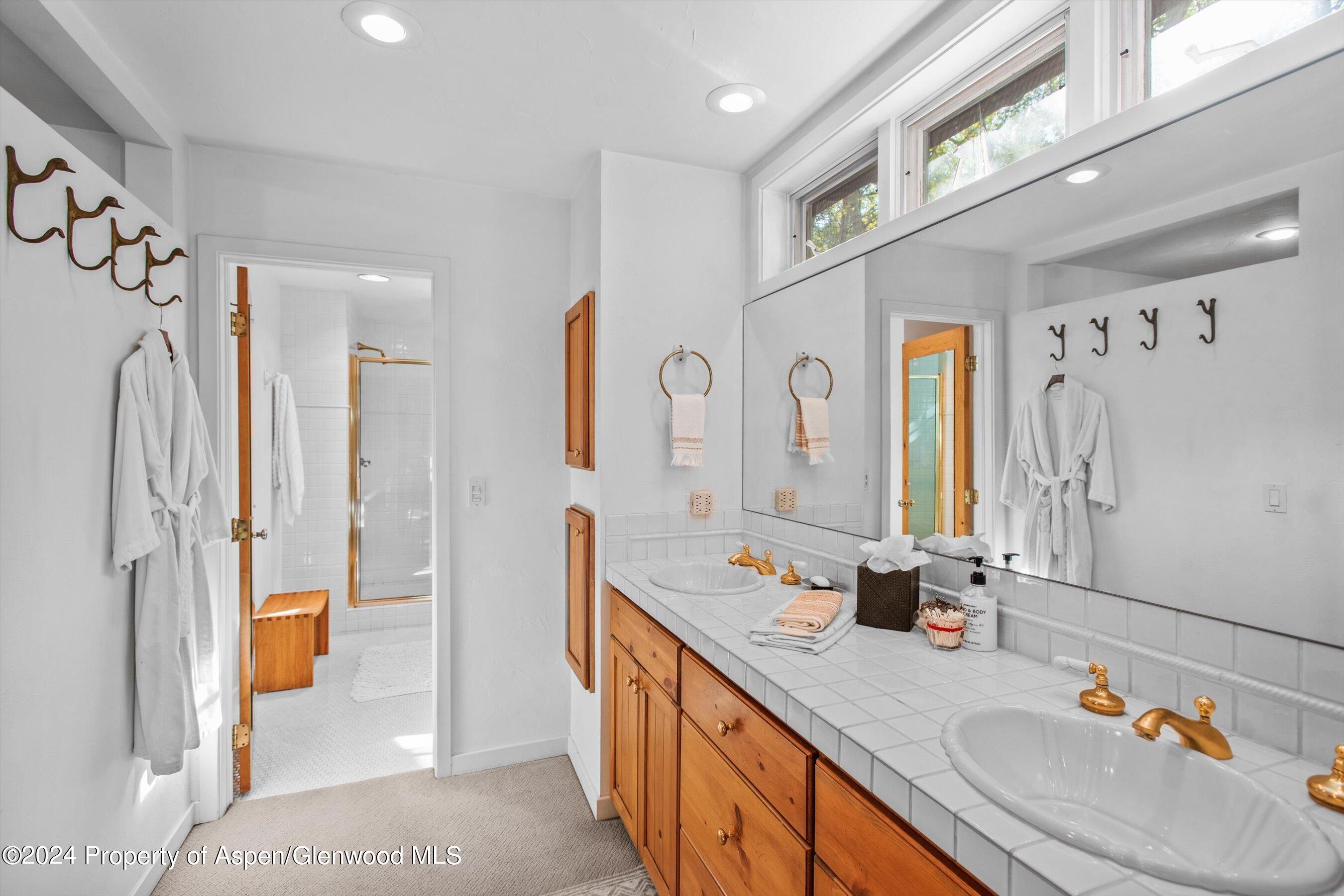 66 Alpine Court Aspen CO 81611