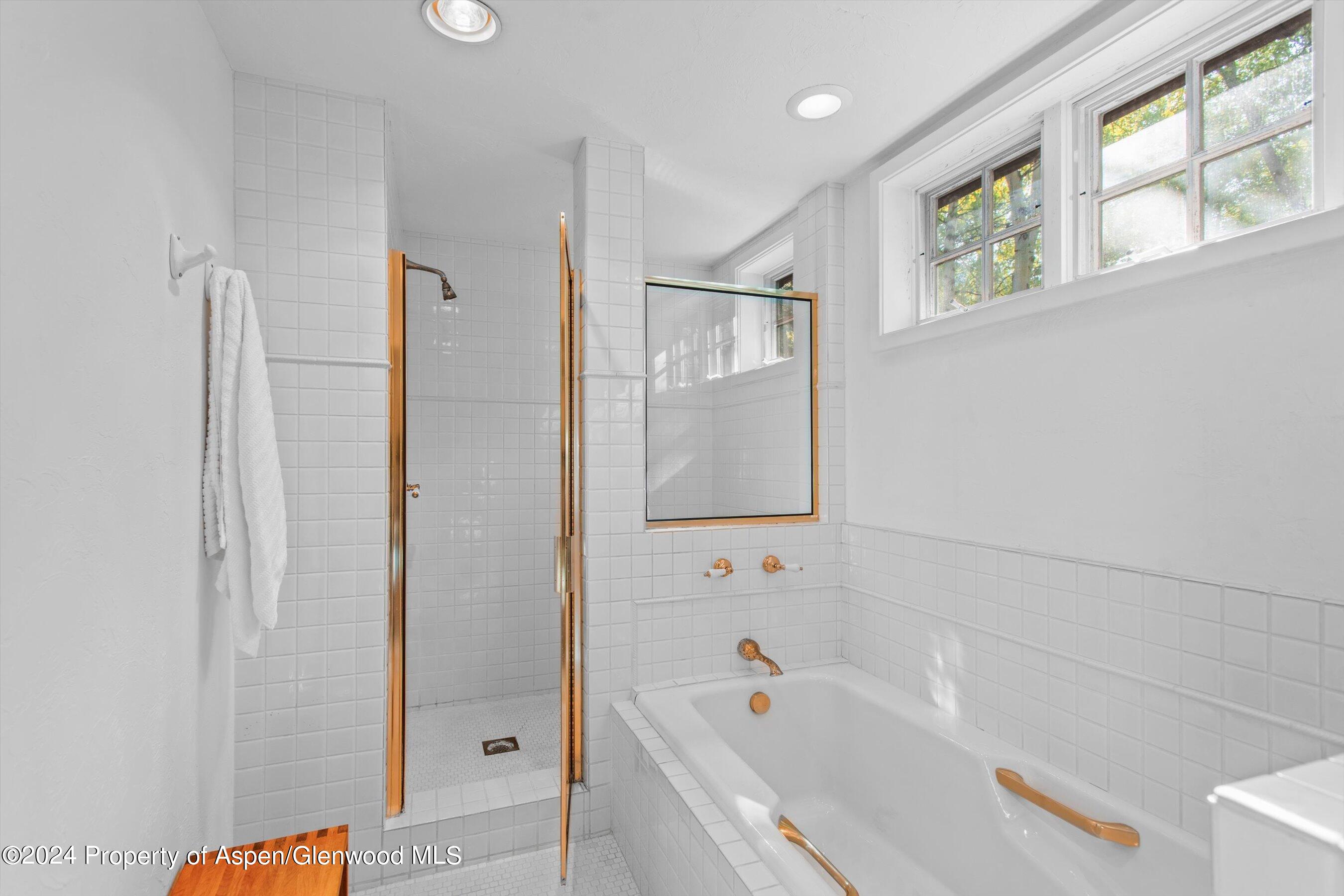 66 Alpine Court Aspen CO 81611