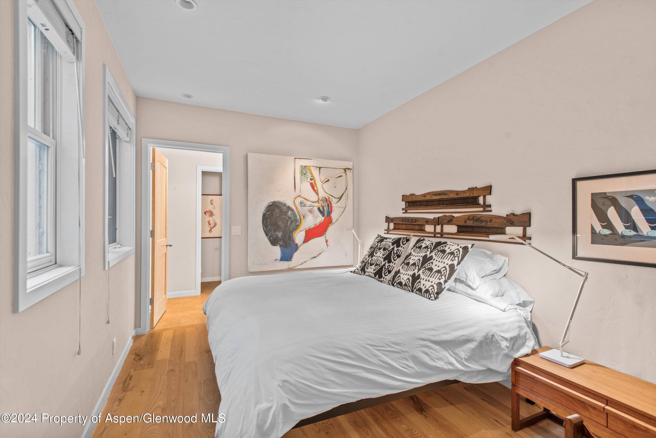 66 Alpine Court Aspen CO 81611