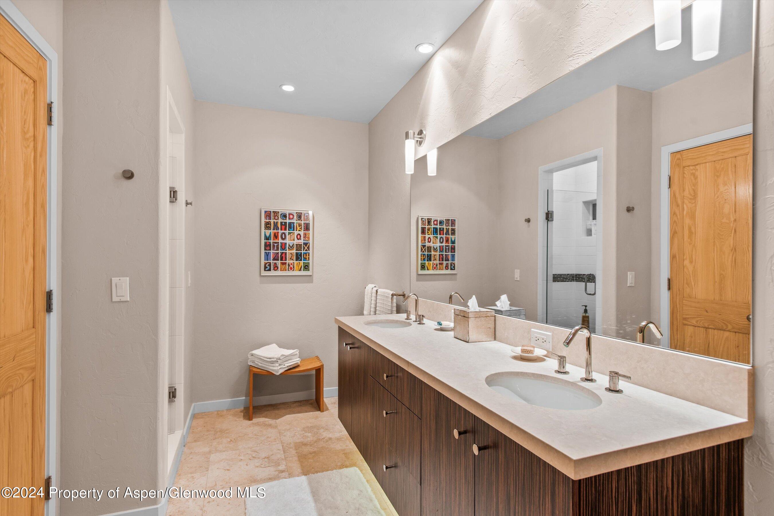 66 Alpine Court Aspen CO 81611