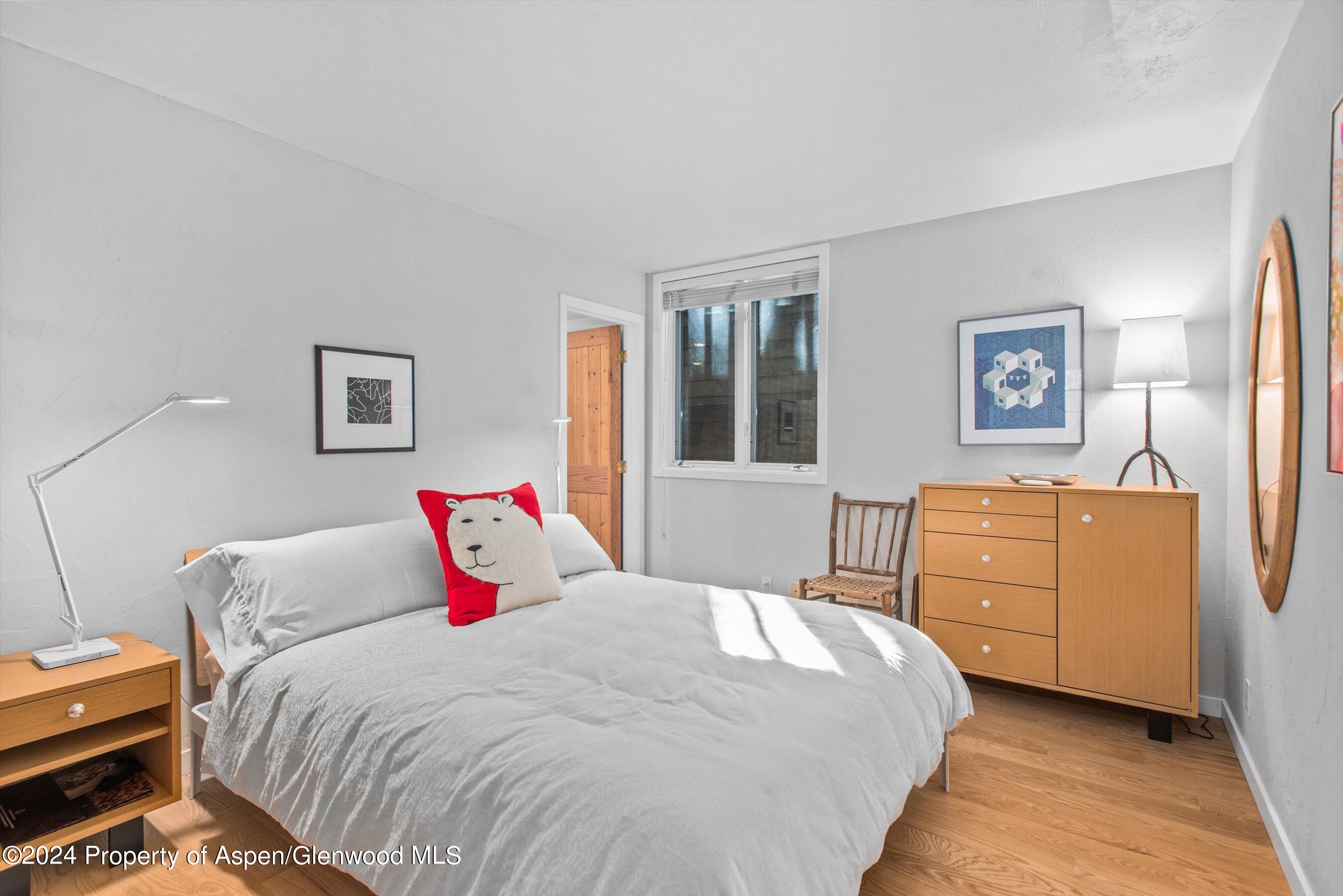 66 Alpine Court Aspen CO 81611