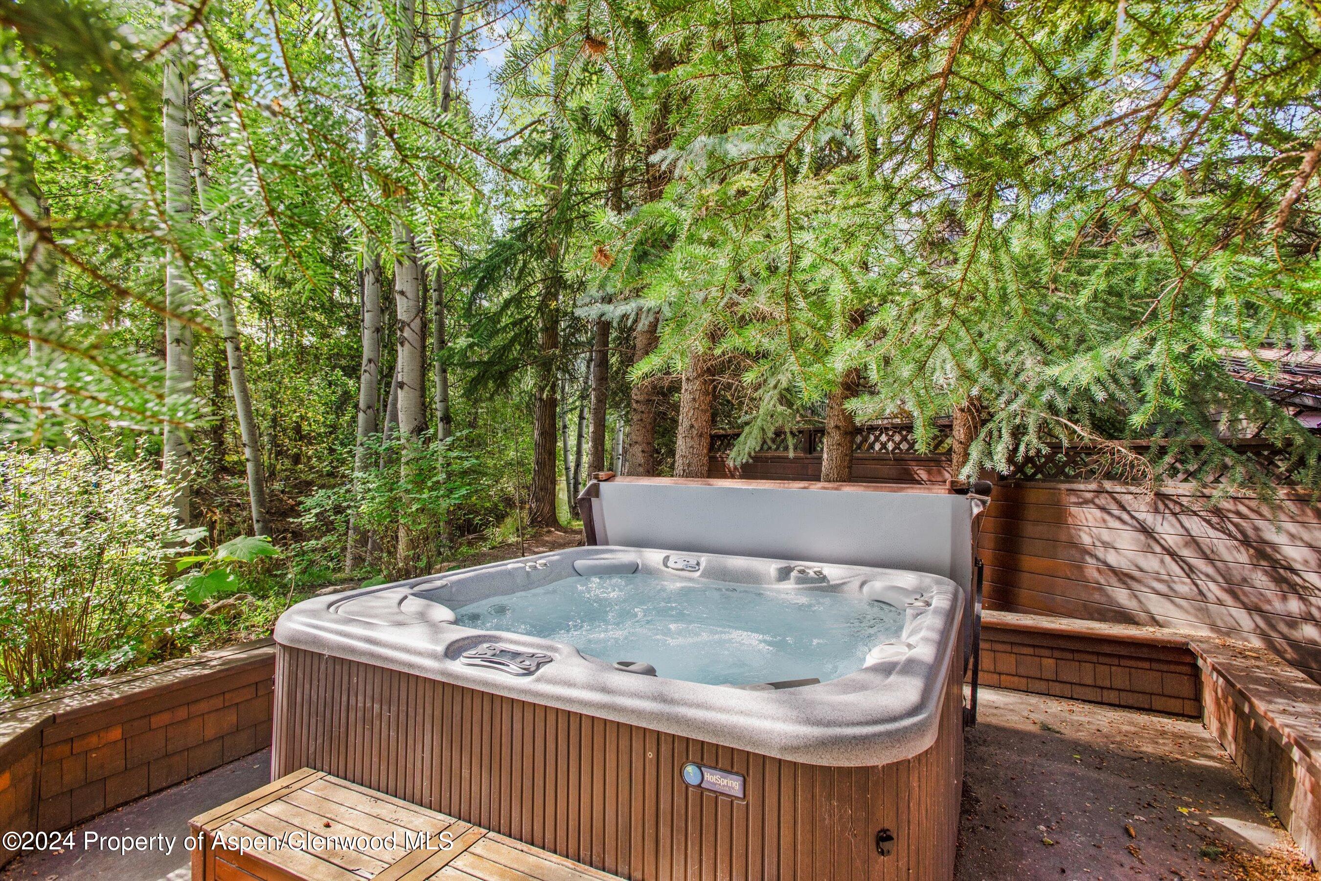 66 Alpine Court Aspen CO 81611