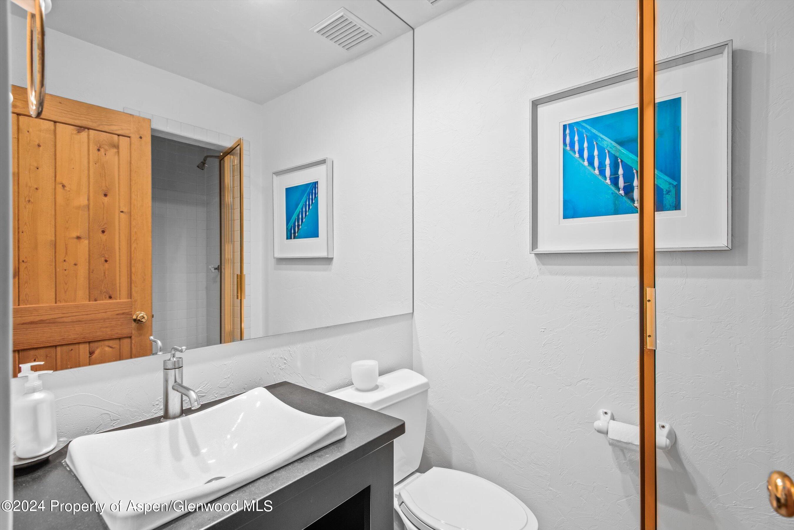 66 Alpine Court Aspen CO 81611