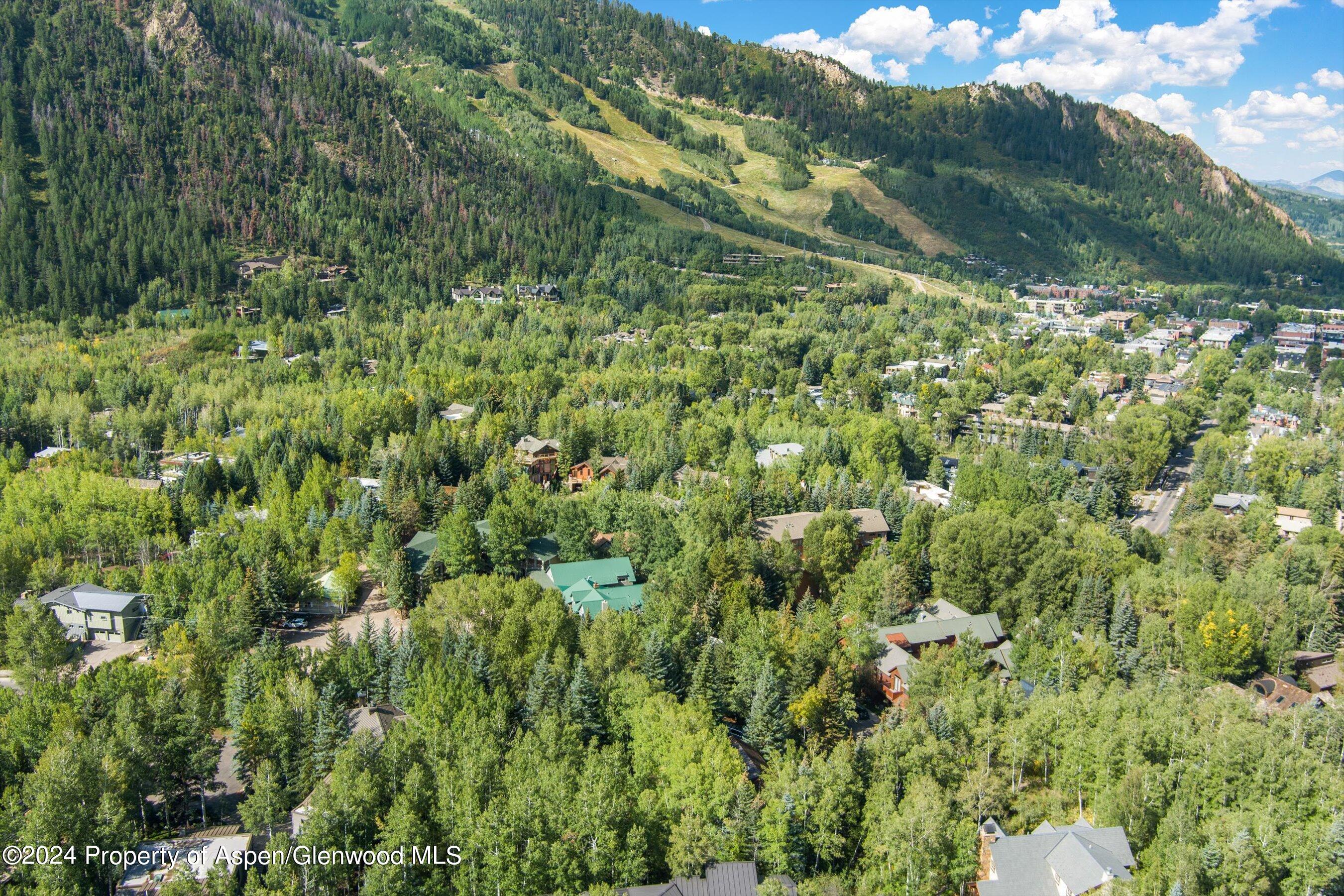 66 Alpine Court Aspen CO 81611