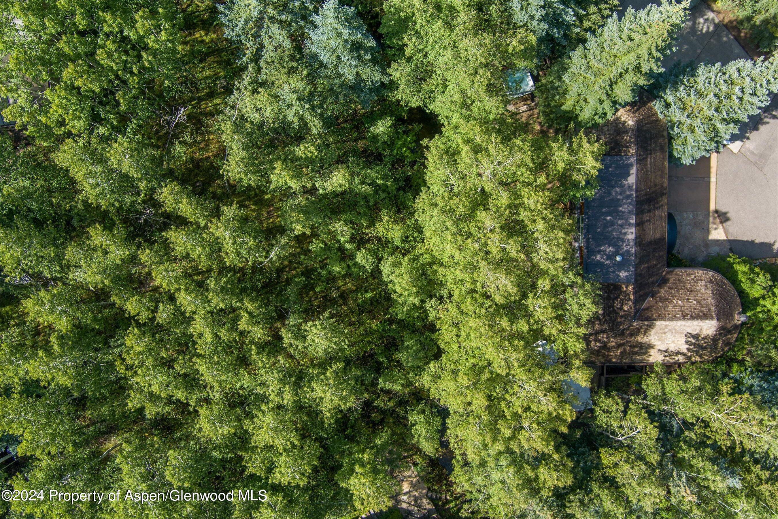 66 Alpine Court Aspen CO 81611