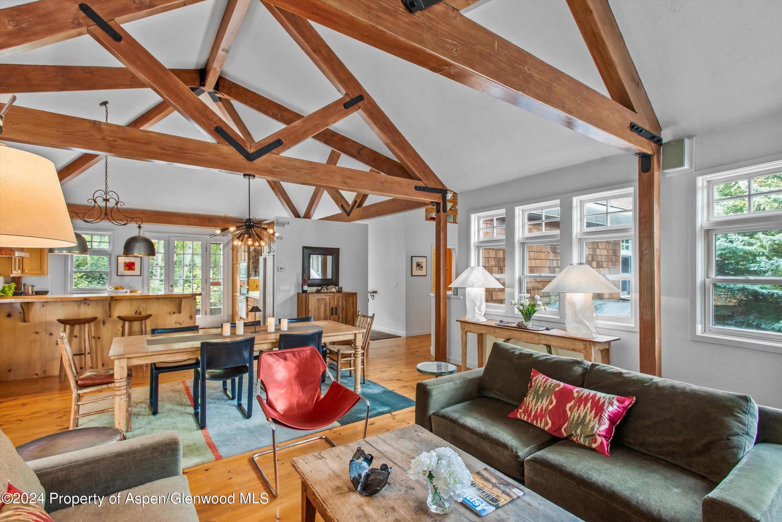 66 Alpine Court Aspen CO 81611