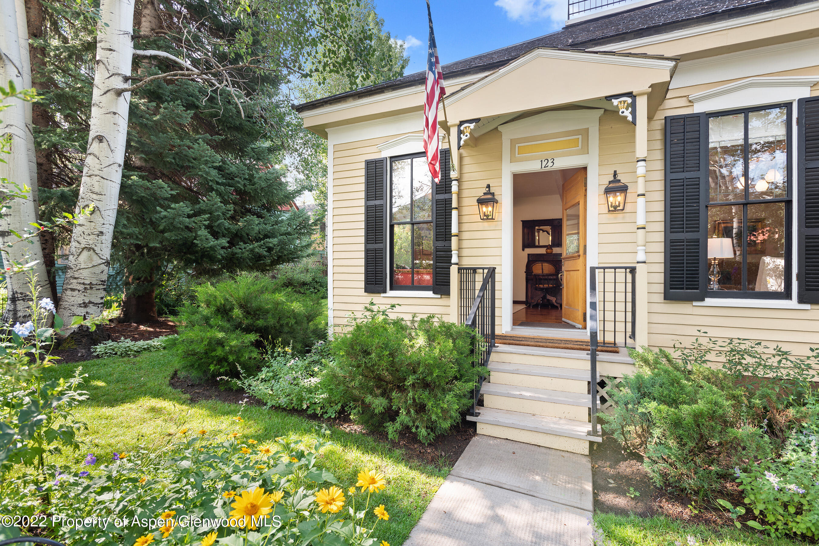 123 E Hallam Street Aspen CO 81611