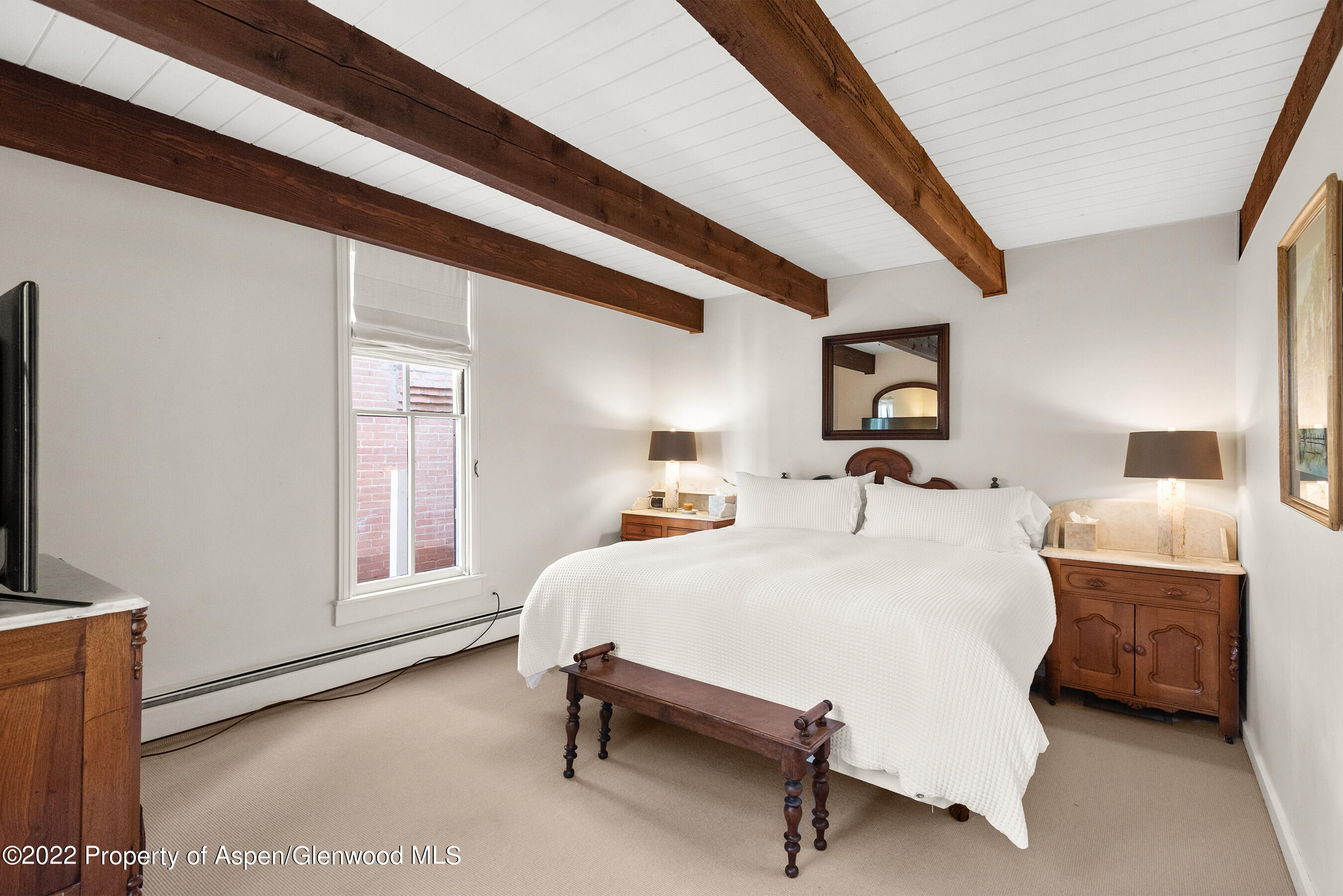 123 E Hallam Street Aspen CO 81611