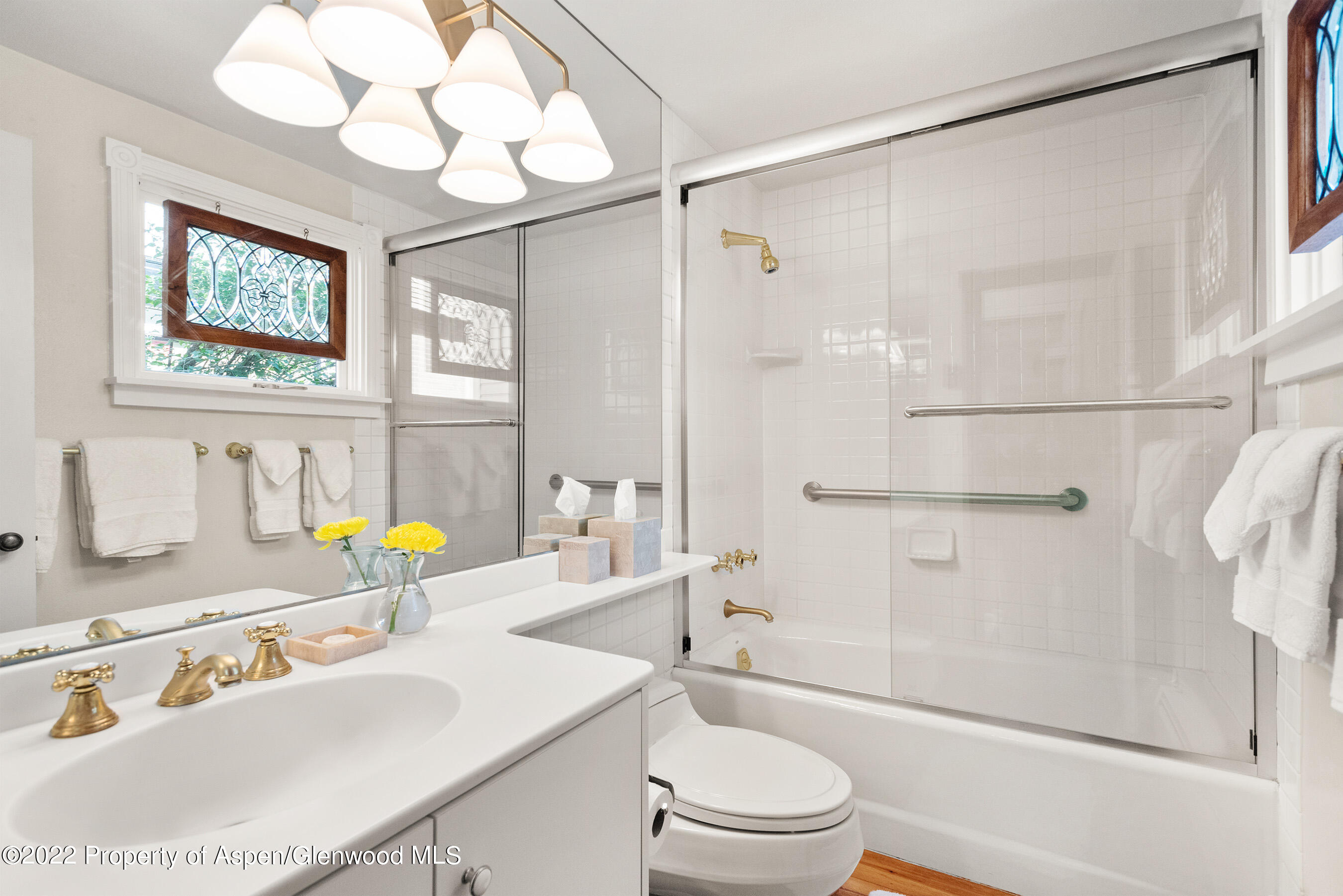 123 E Hallam Street Aspen CO 81611