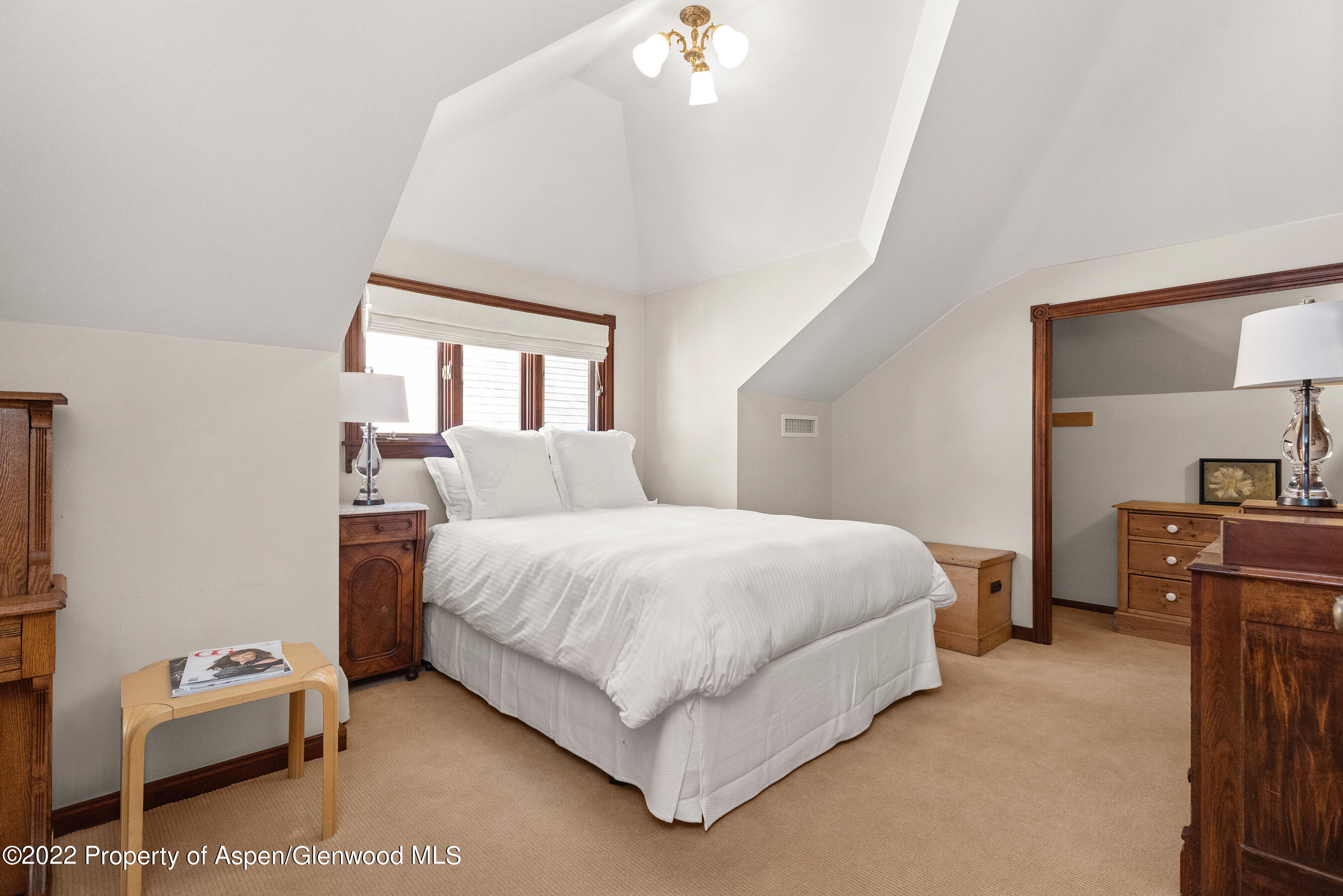 123 E Hallam Street Aspen CO 81611