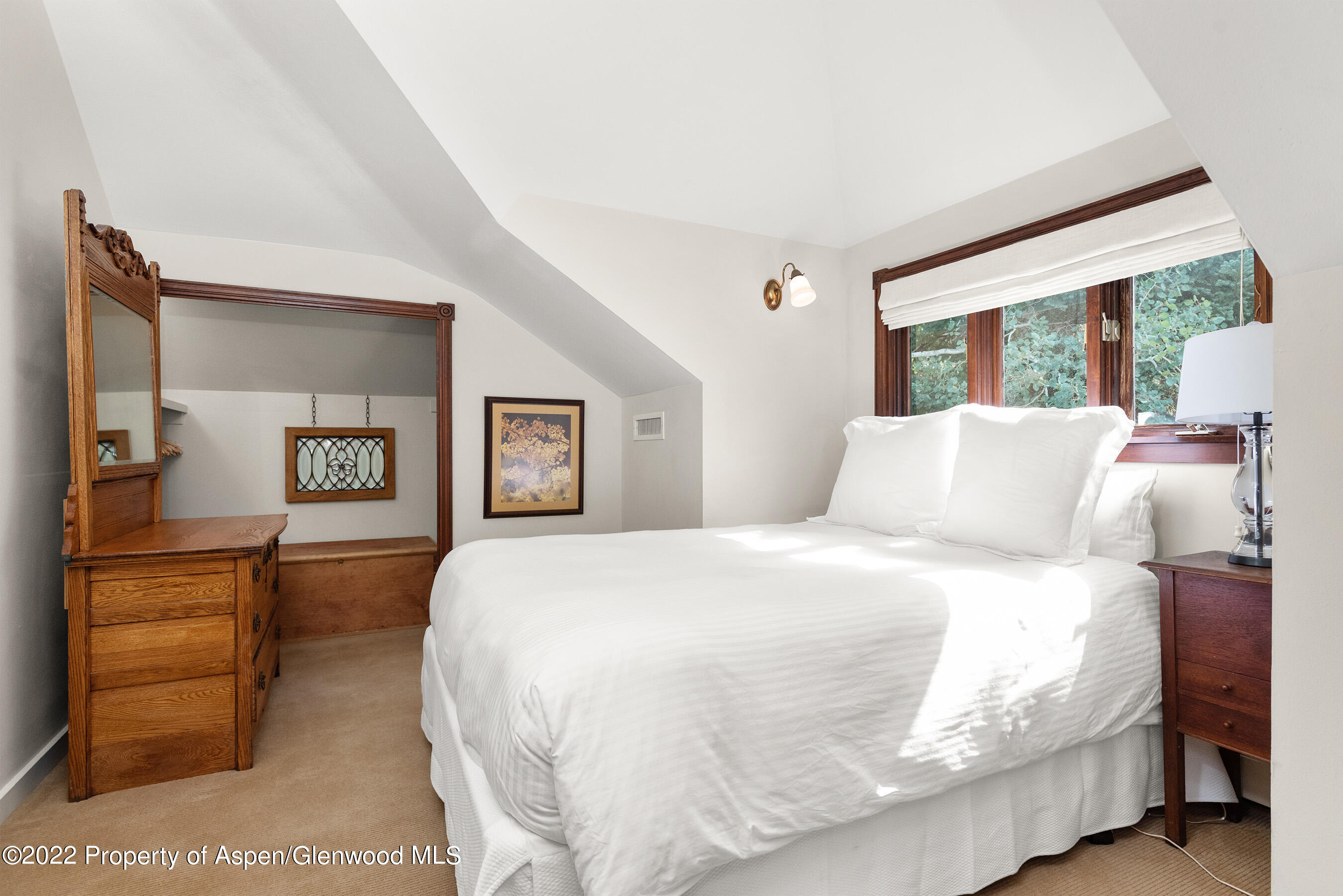 123 E Hallam Street Aspen CO 81611