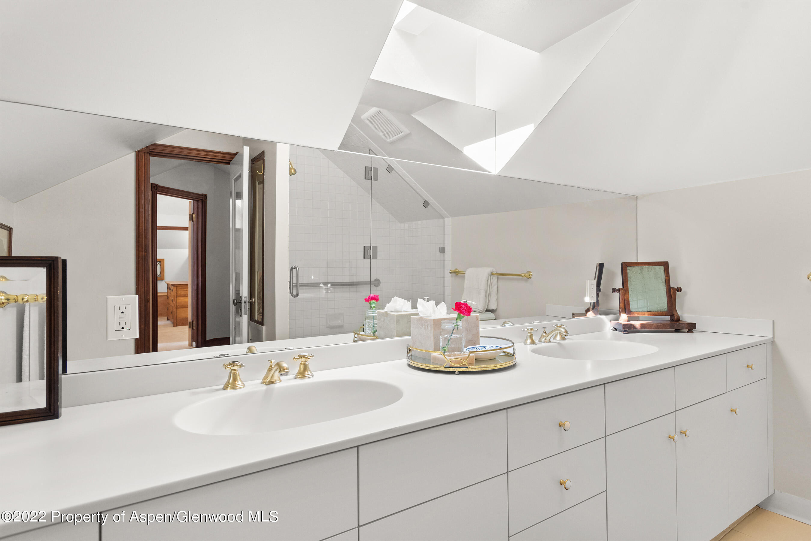 123 E Hallam Street Aspen CO 81611