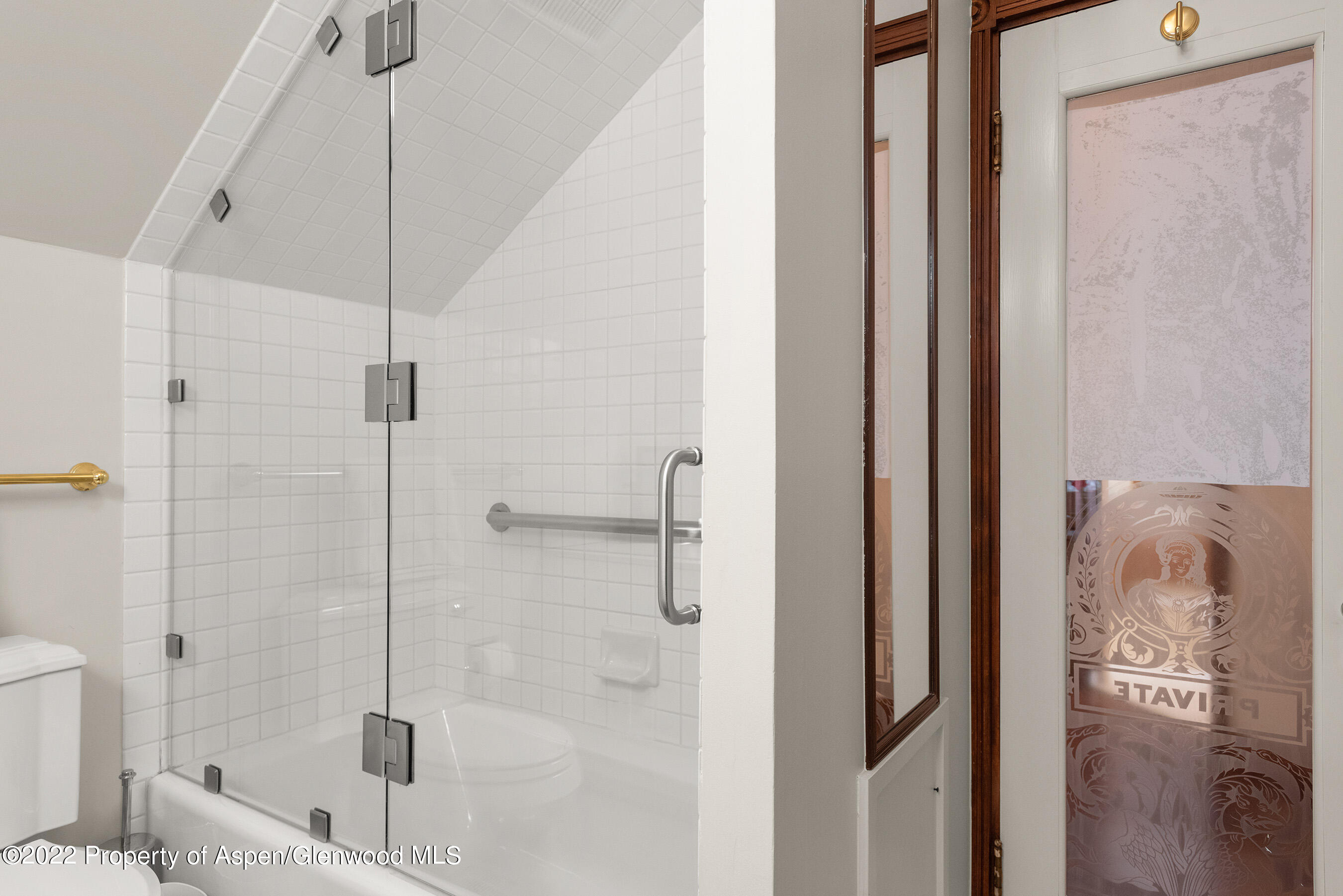 123 E Hallam Street Aspen CO 81611