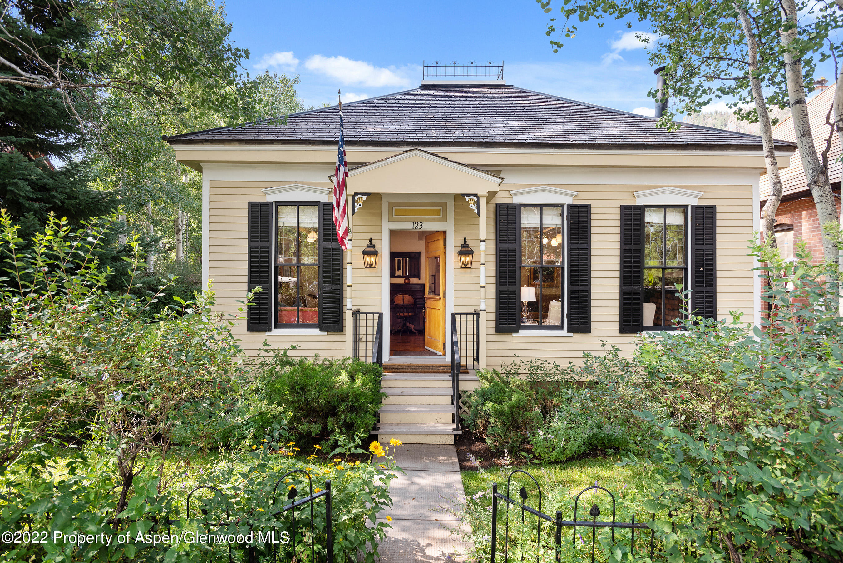 123 E Hallam Street Aspen CO 81611