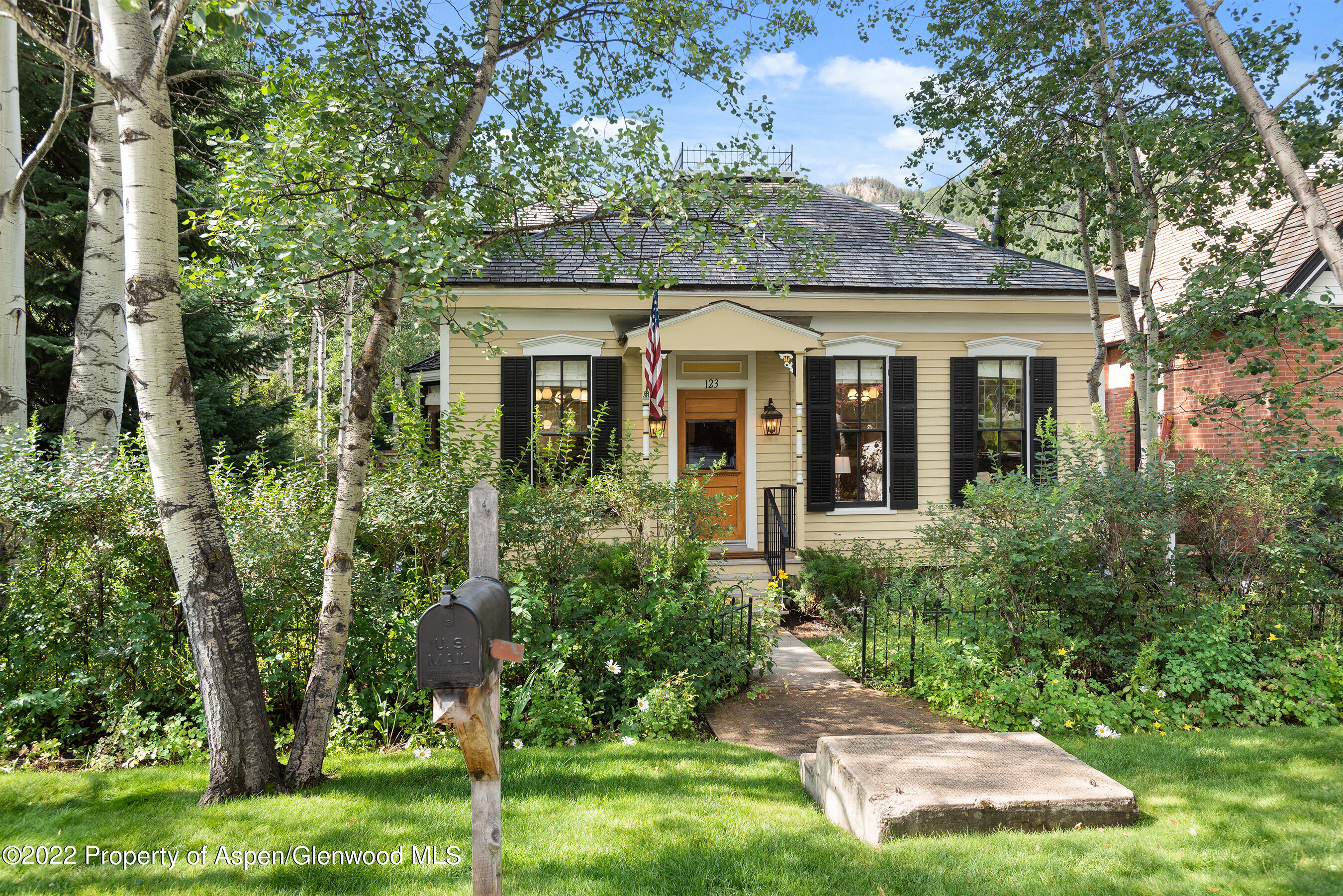 123 E Hallam Street Aspen CO 81611