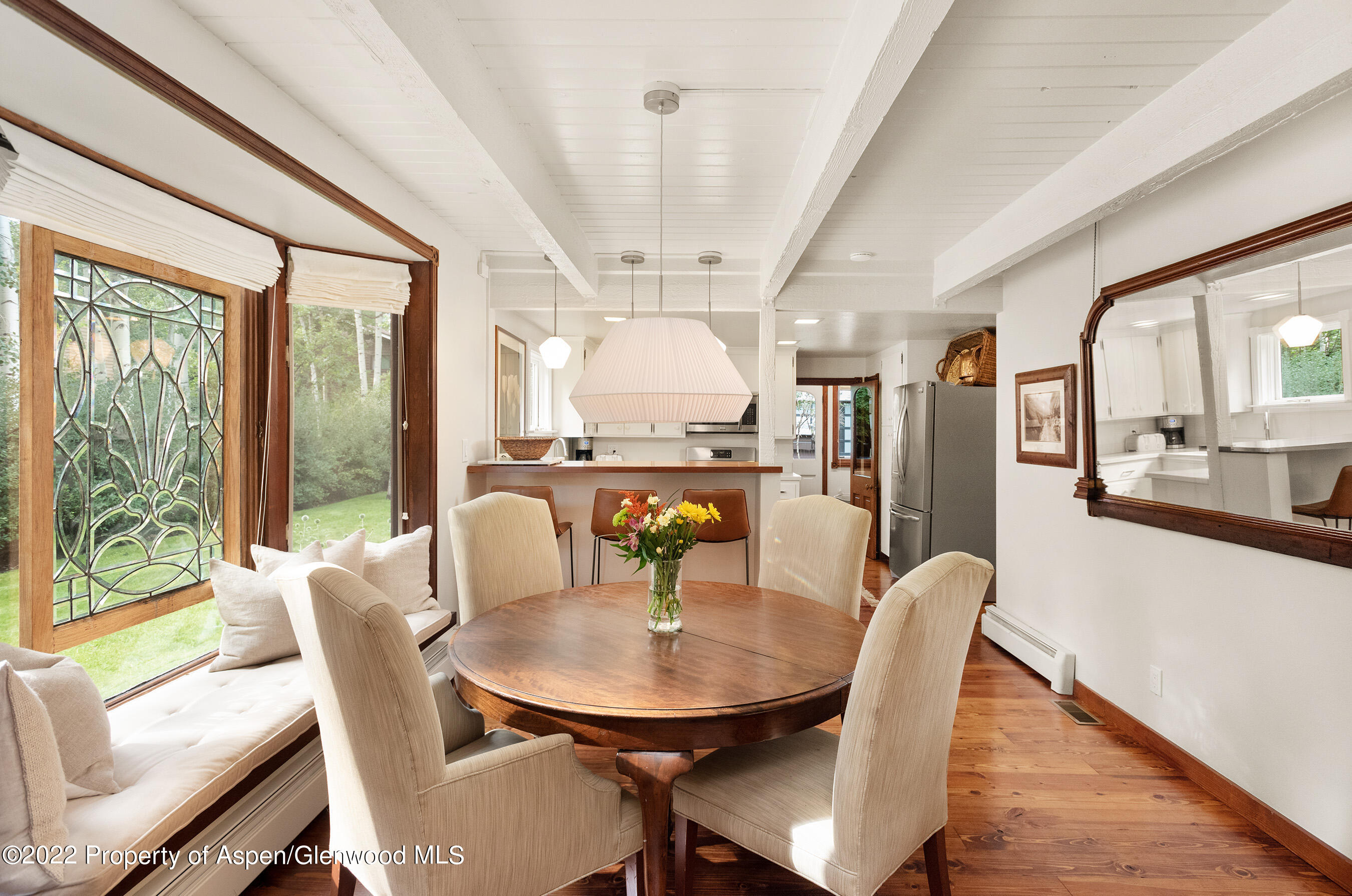 123 E Hallam Street Aspen CO 81611