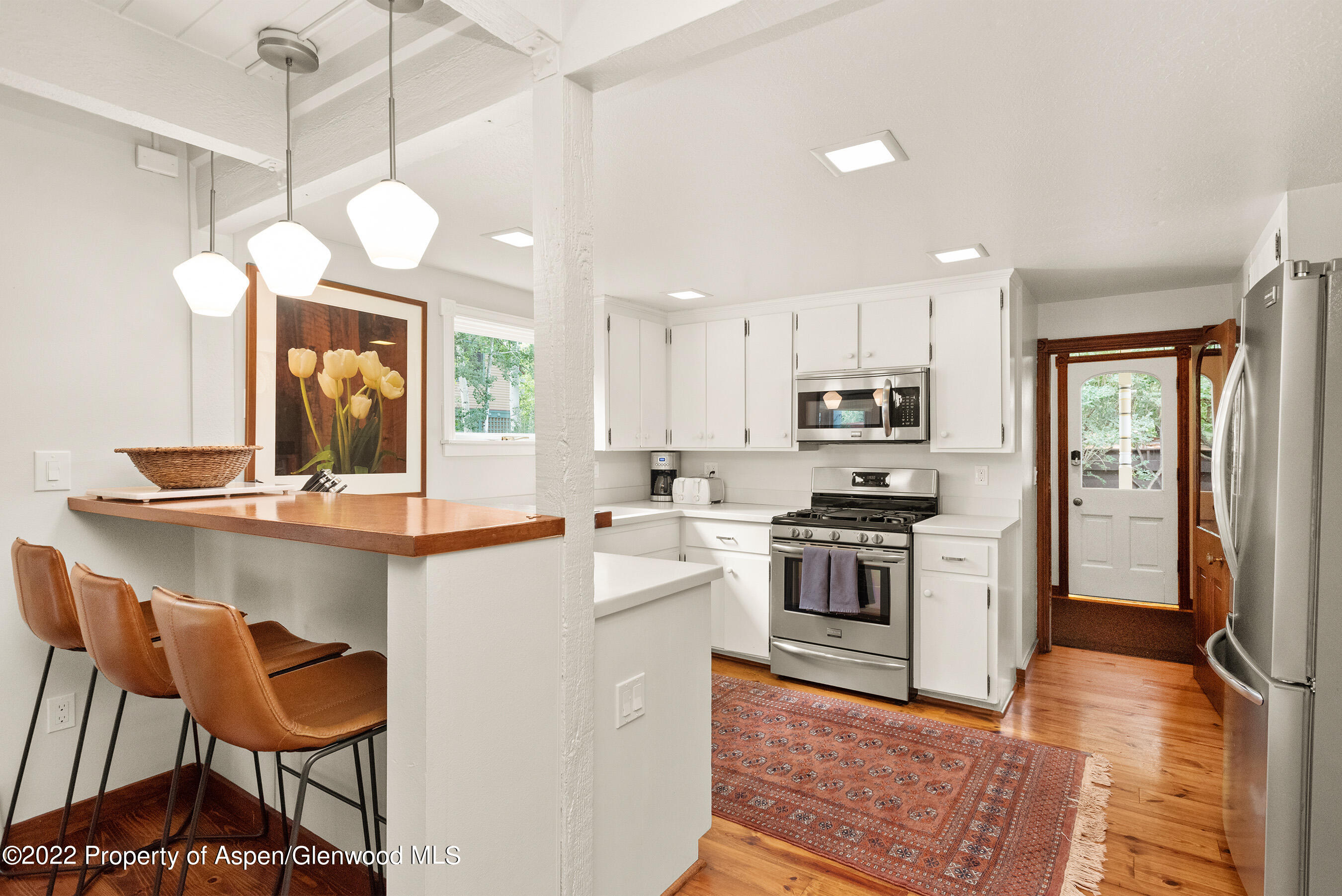 123 E Hallam Street Aspen CO 81611