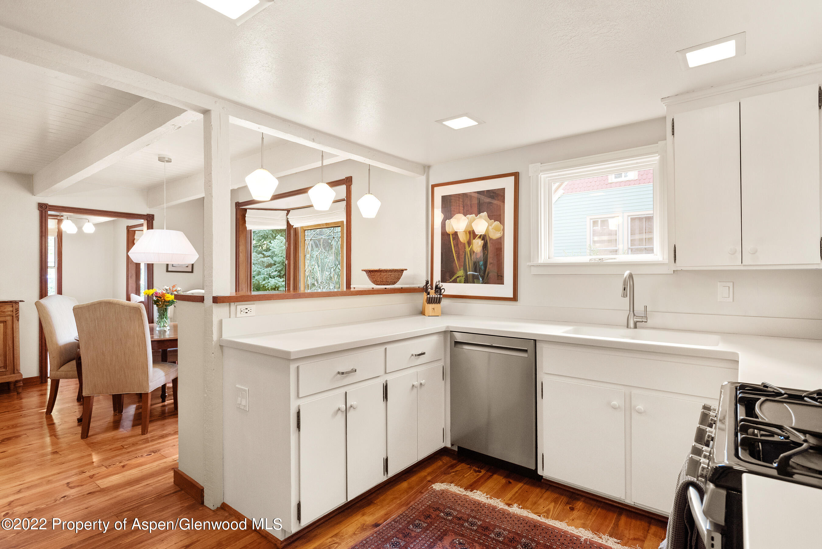 123 E Hallam Street Aspen CO 81611