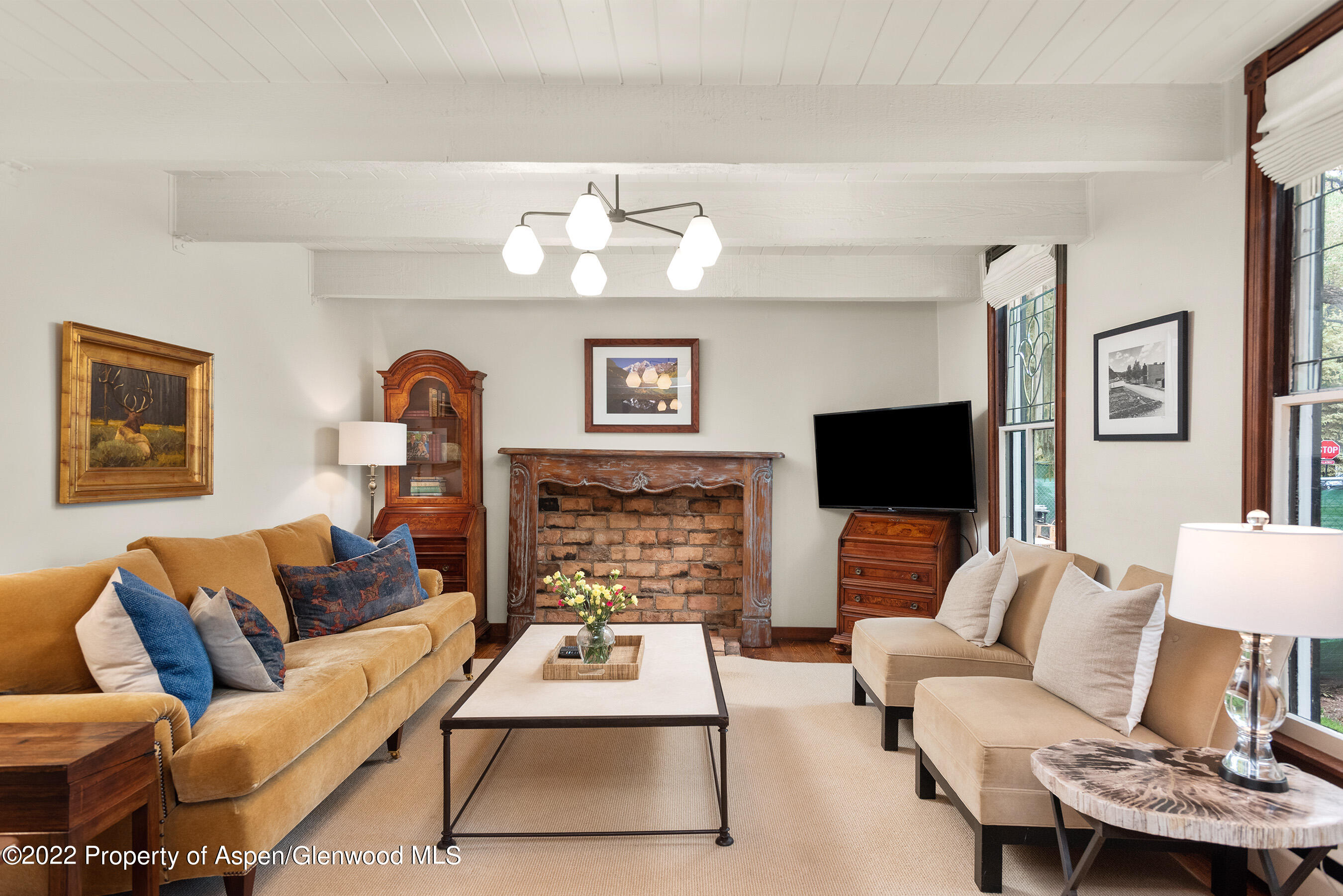 123 E Hallam Street Aspen CO 81611