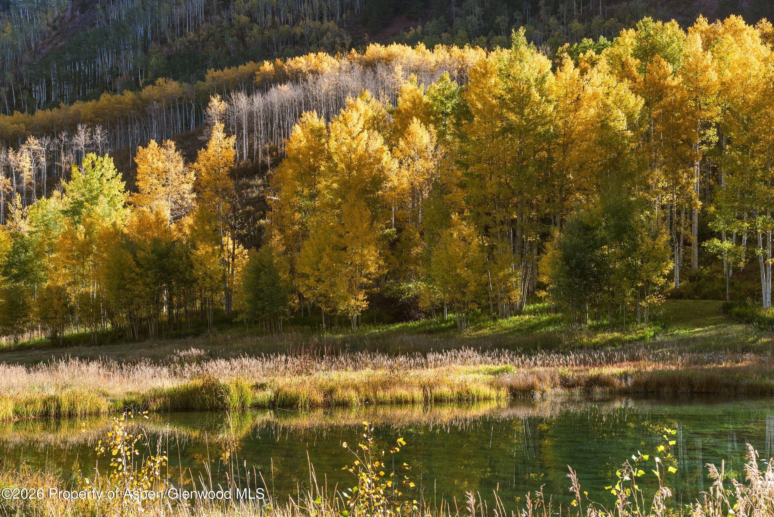 5387 Castle Creek Road Aspen CO 81611