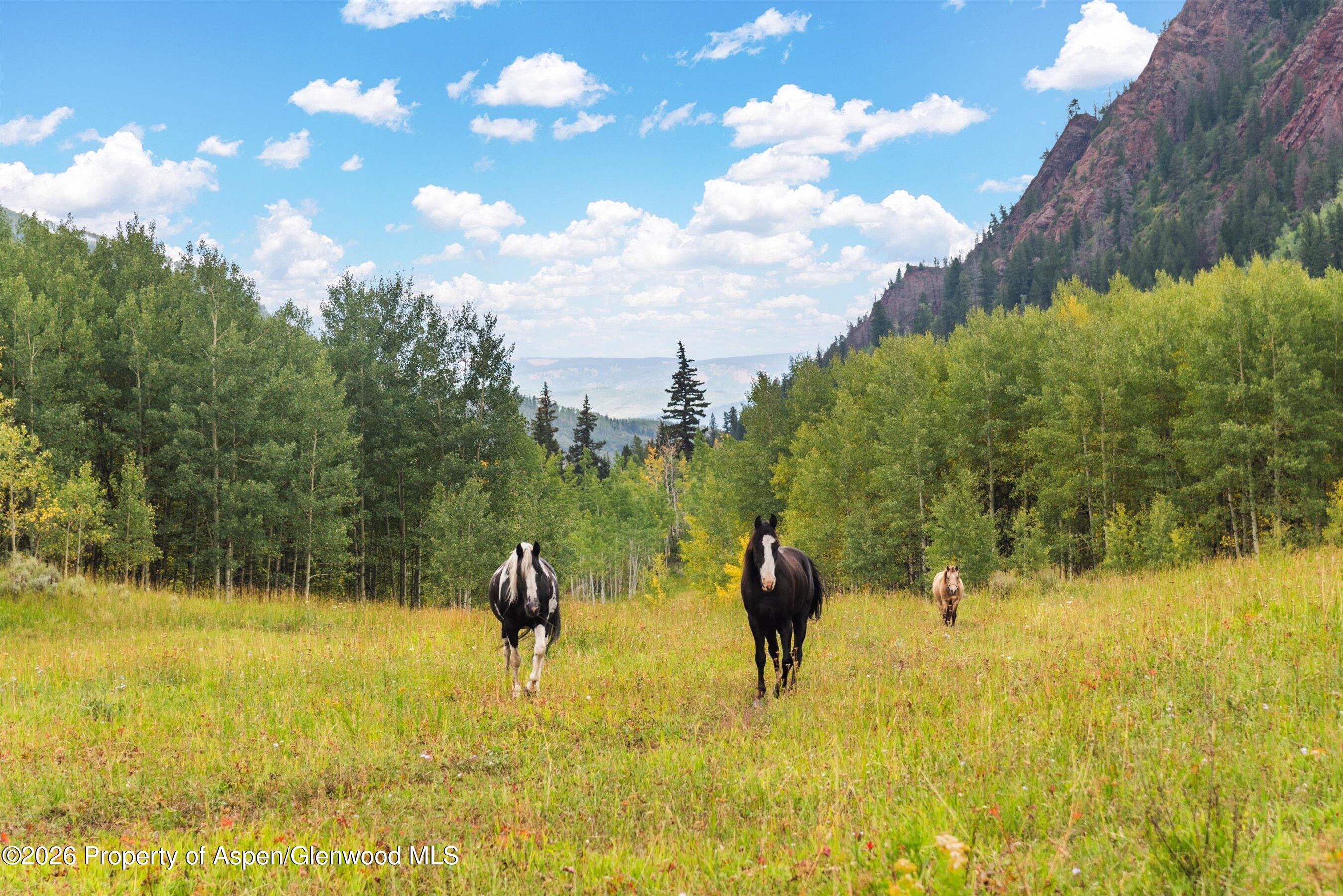 5387 Castle Creek Road Aspen CO 81611
