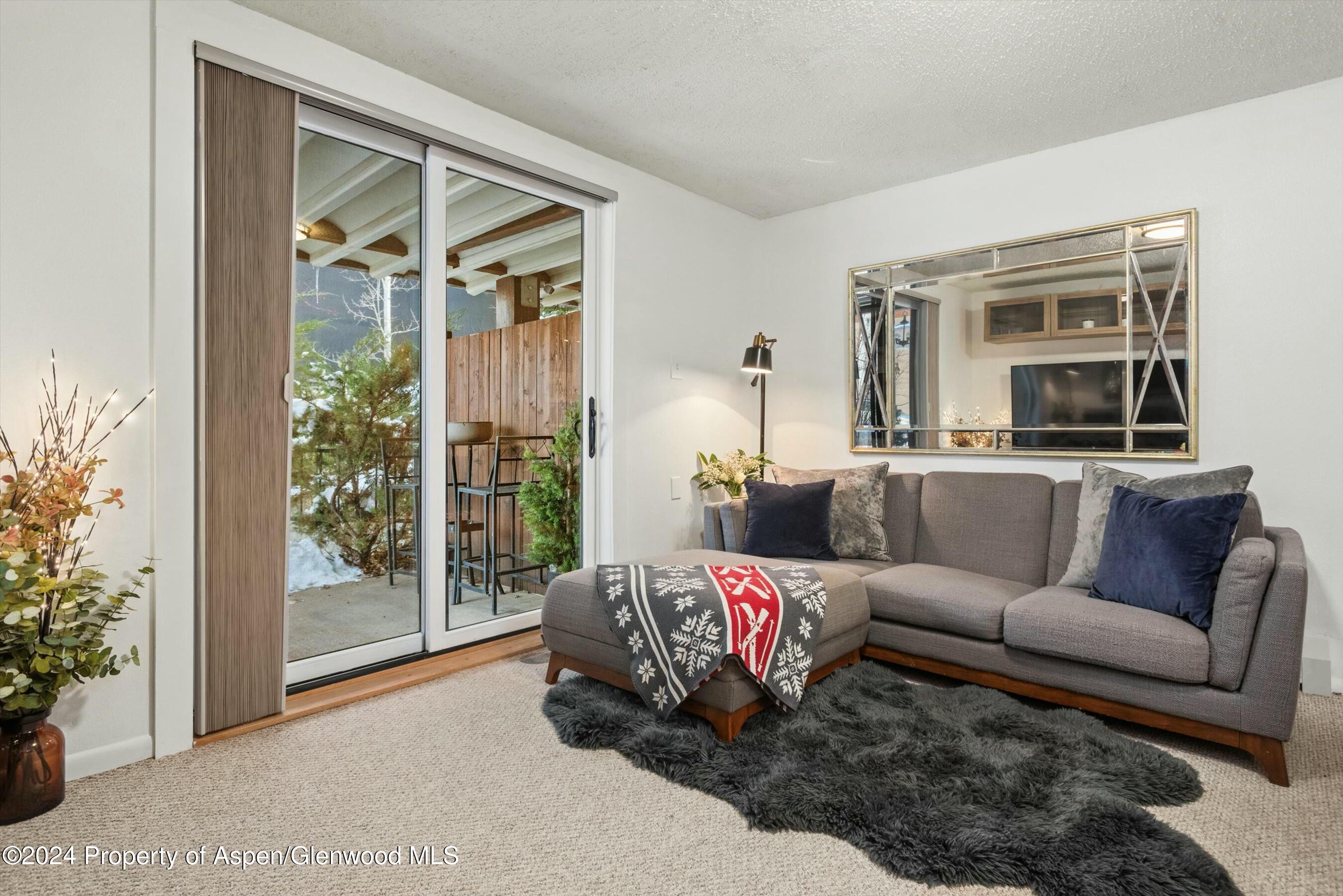 119 E Cooper Avenue Aspen CO 81611