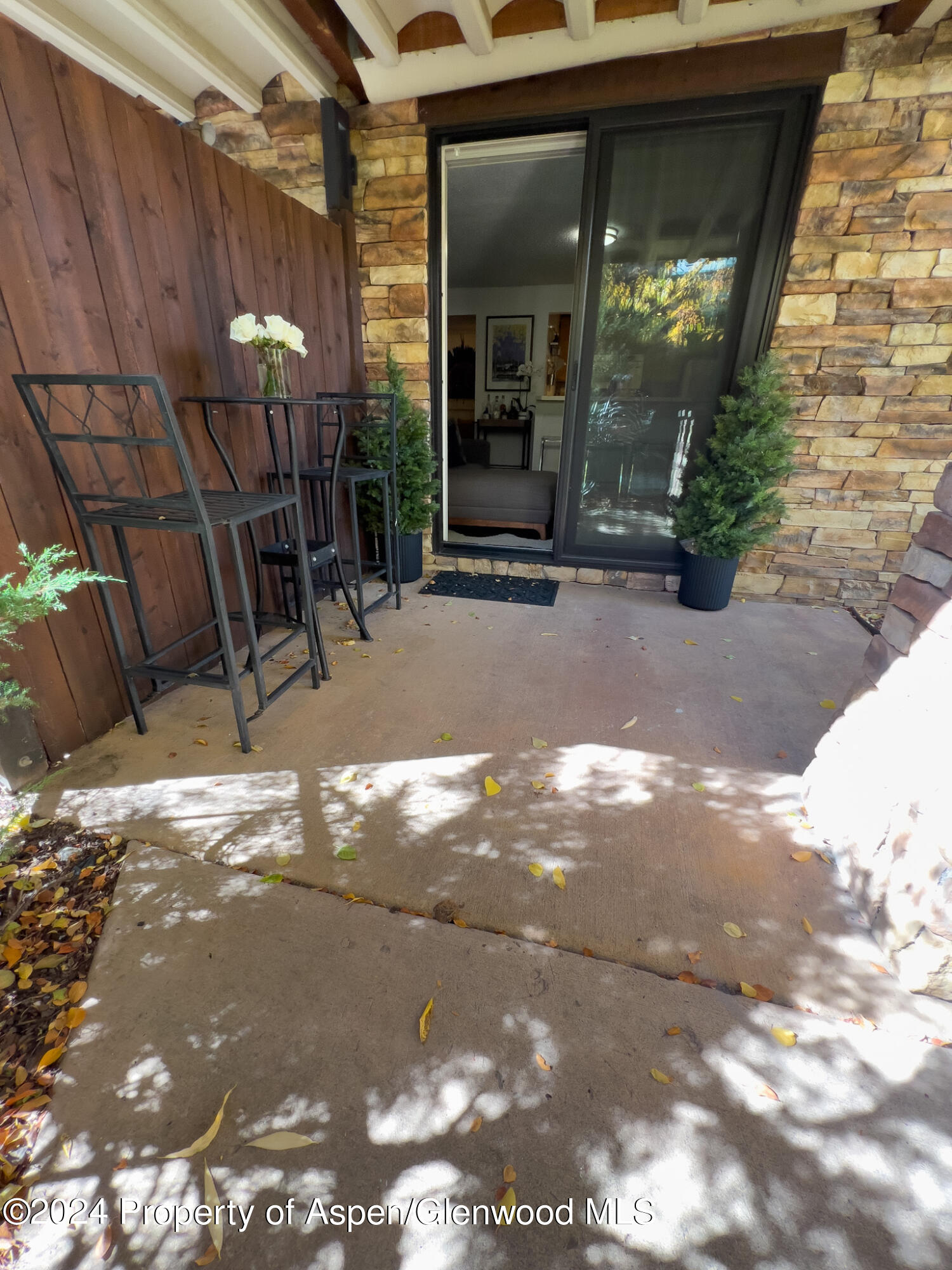 119 E Cooper Avenue Aspen CO 81611